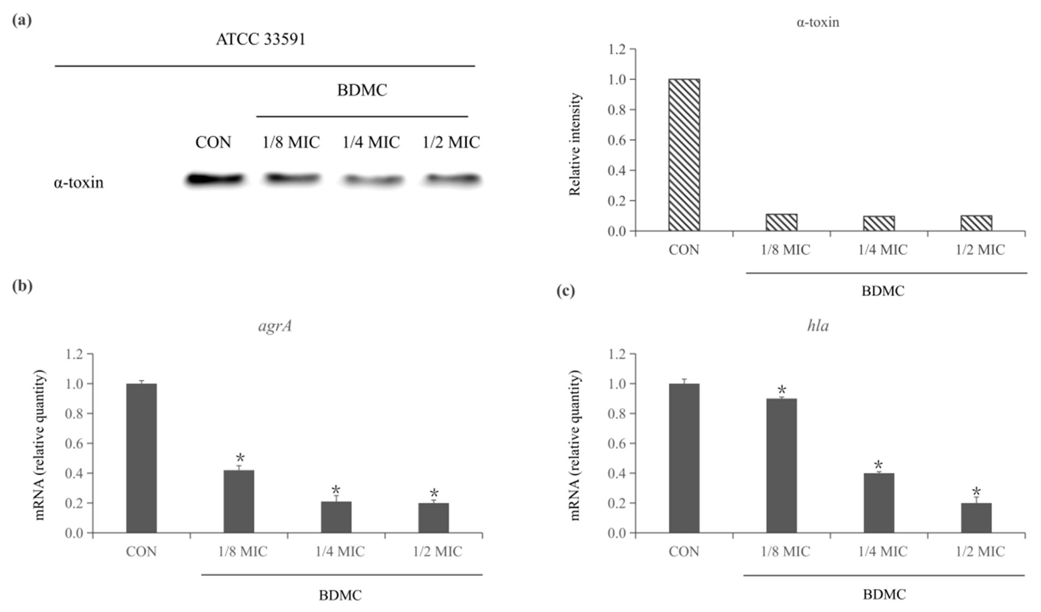 Toxins 13 00804 g001 550