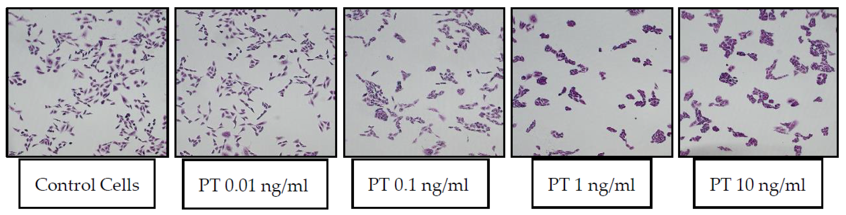 Toxins 13 00815 g001