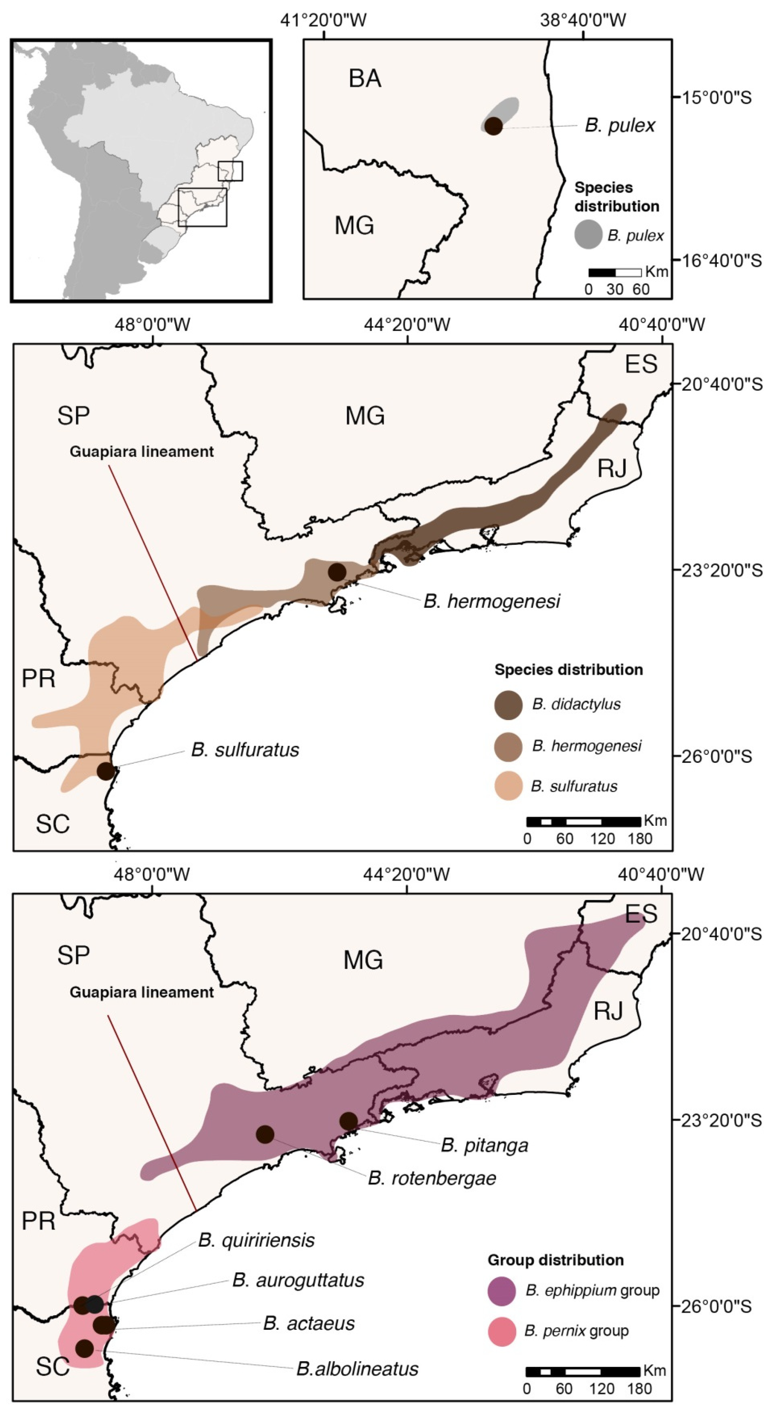 Toxins 13 00816 g001 Toxins 13 00816 g001