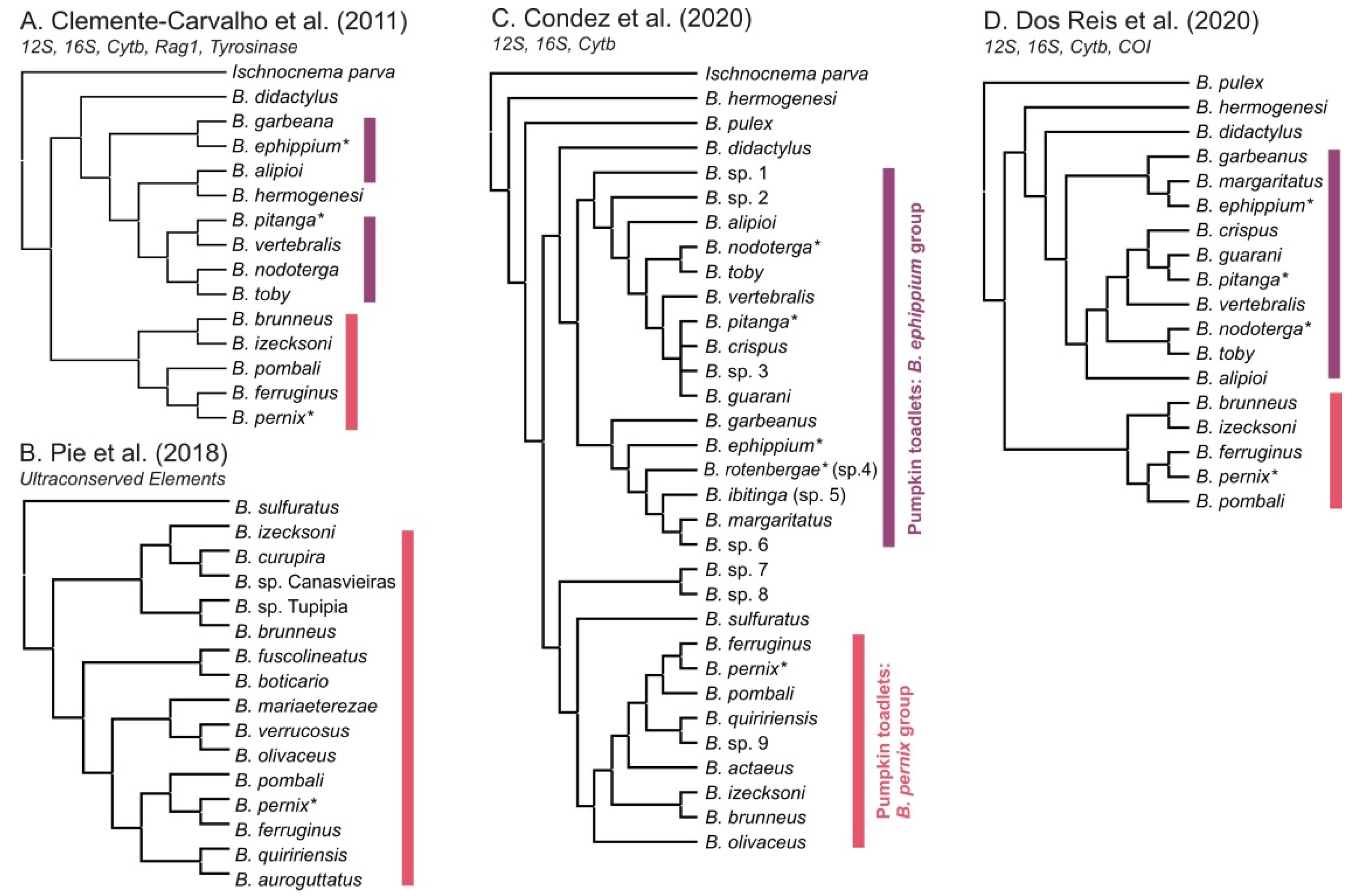 Toxins 13 00816 g002 Toxins 13 00816 g002
