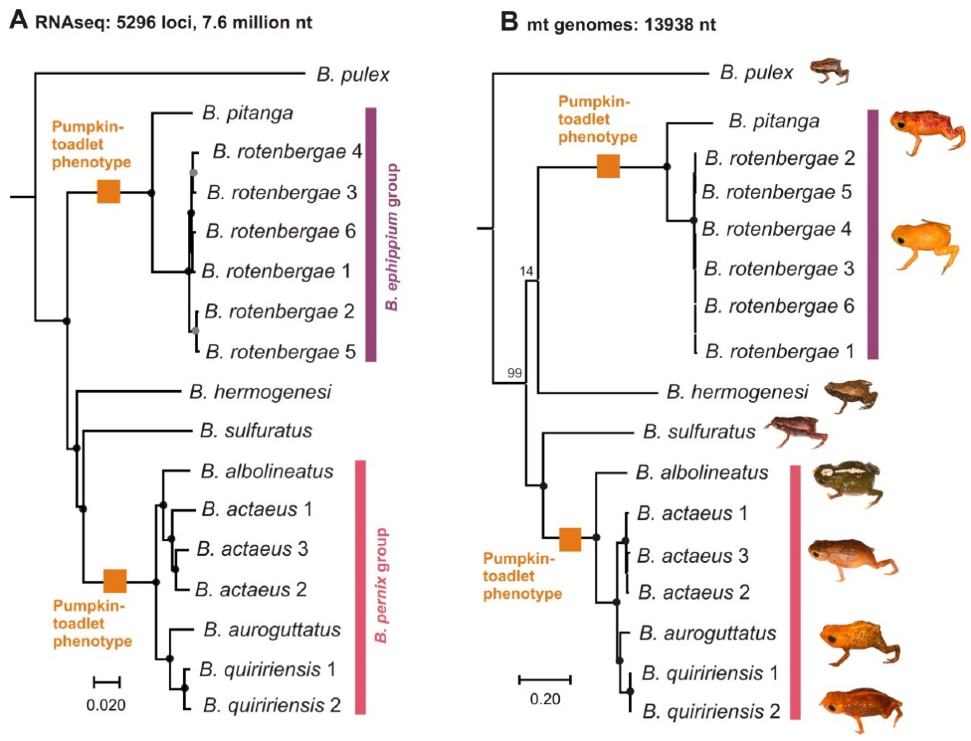 Toxins 13 00816 g003 Toxins 13 00816 g003