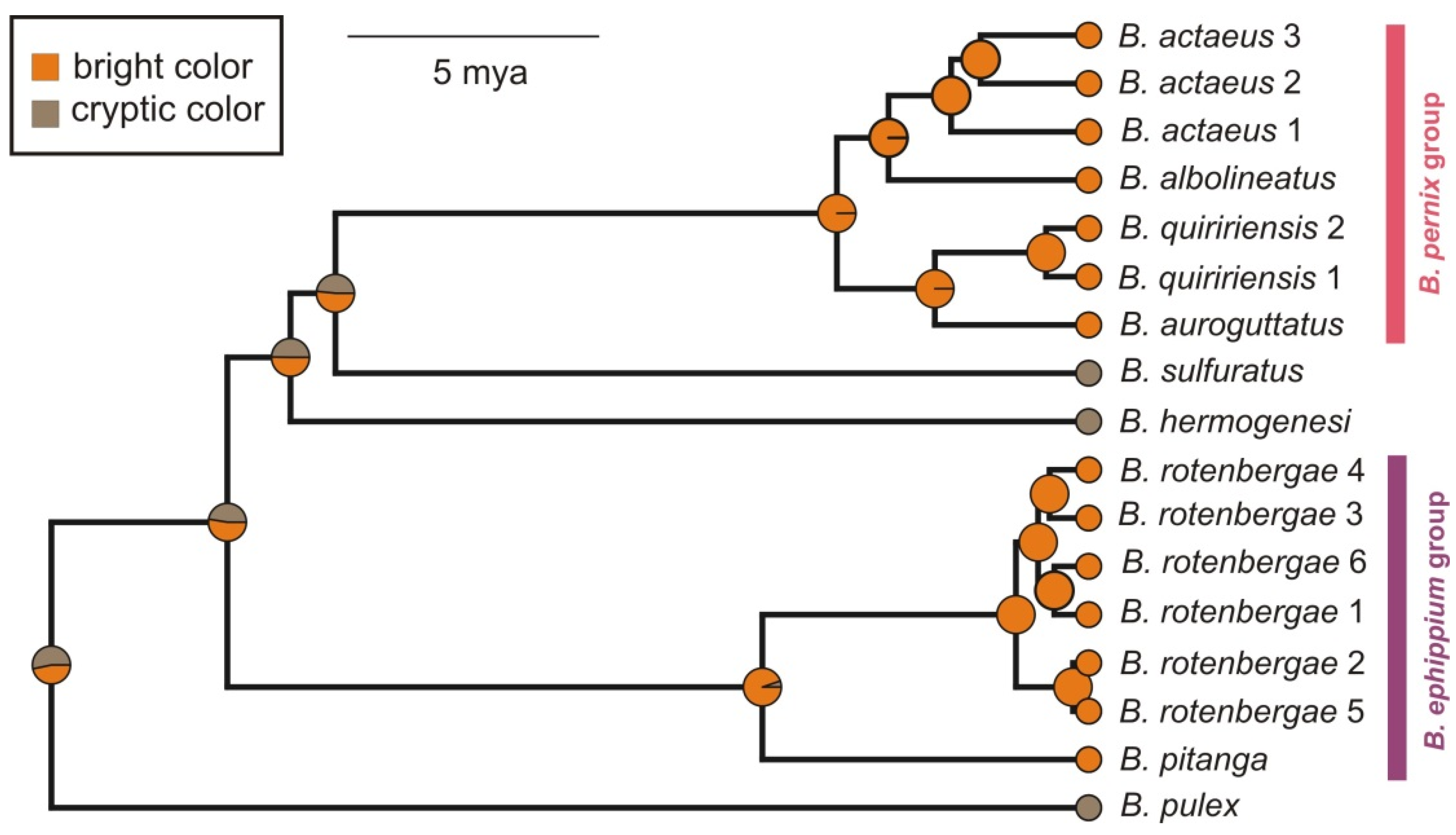 Toxins 13 00816 g004 Toxins 13 00816 g004