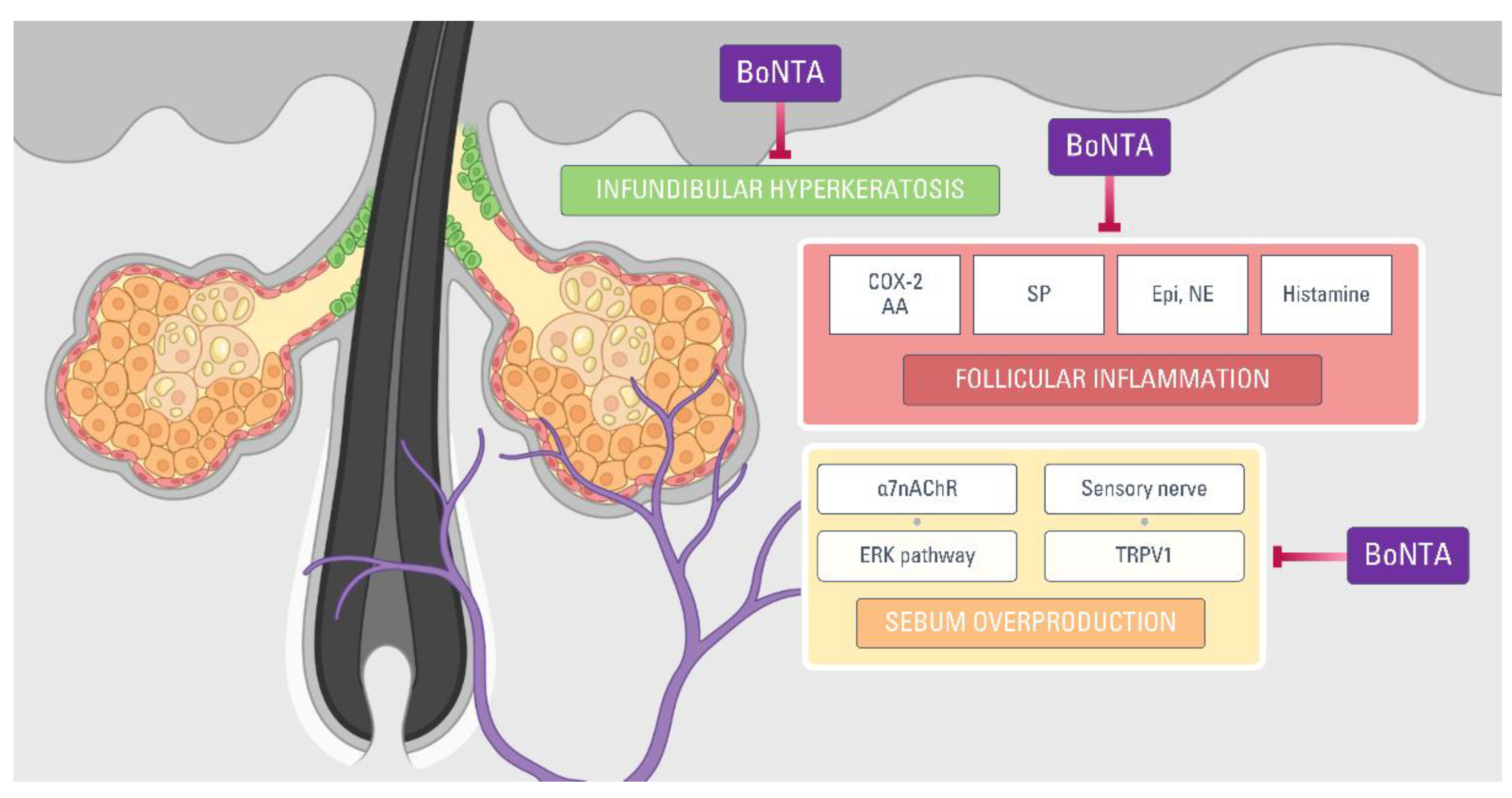 Toxins 13 00817 g005
