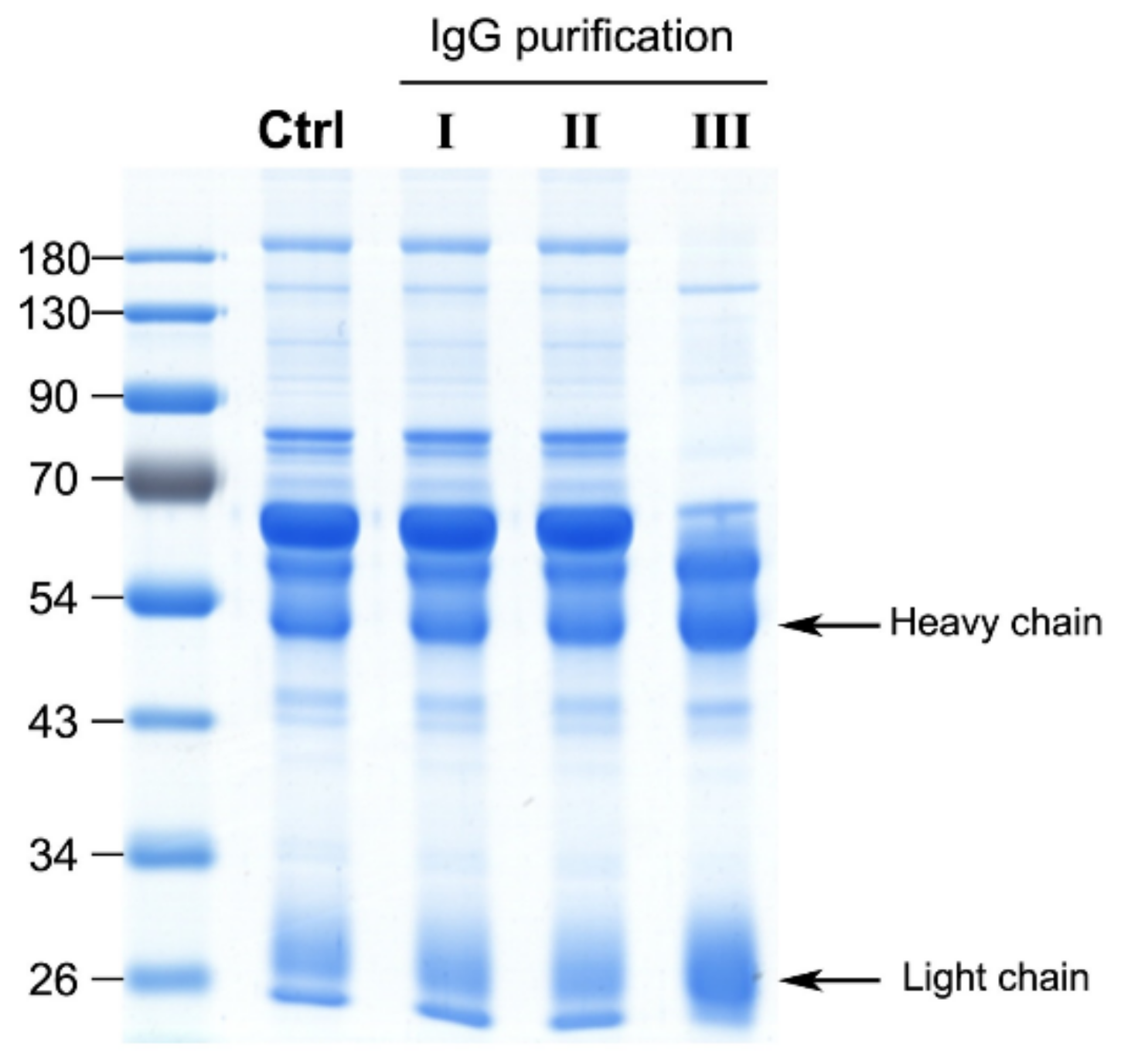 Toxins 13 00818 g002