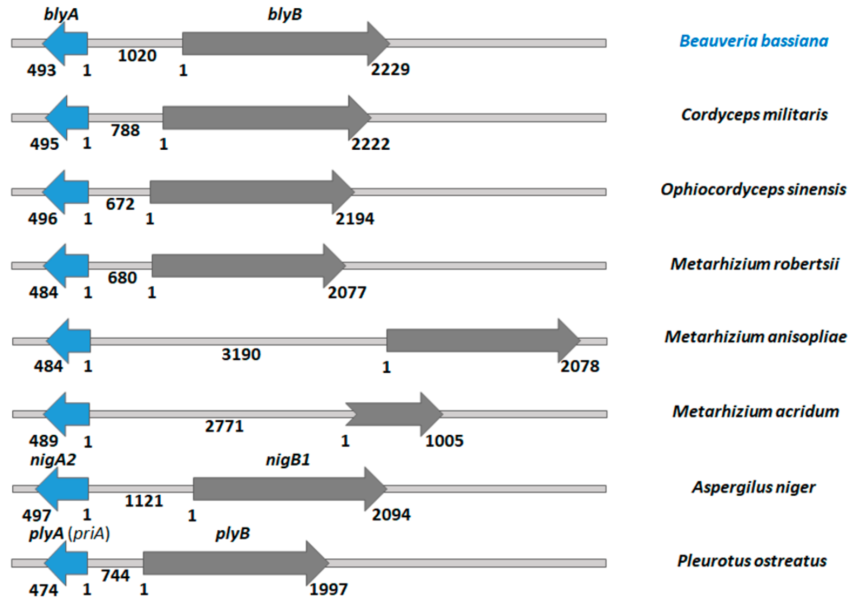 Toxins 13 00820 g001