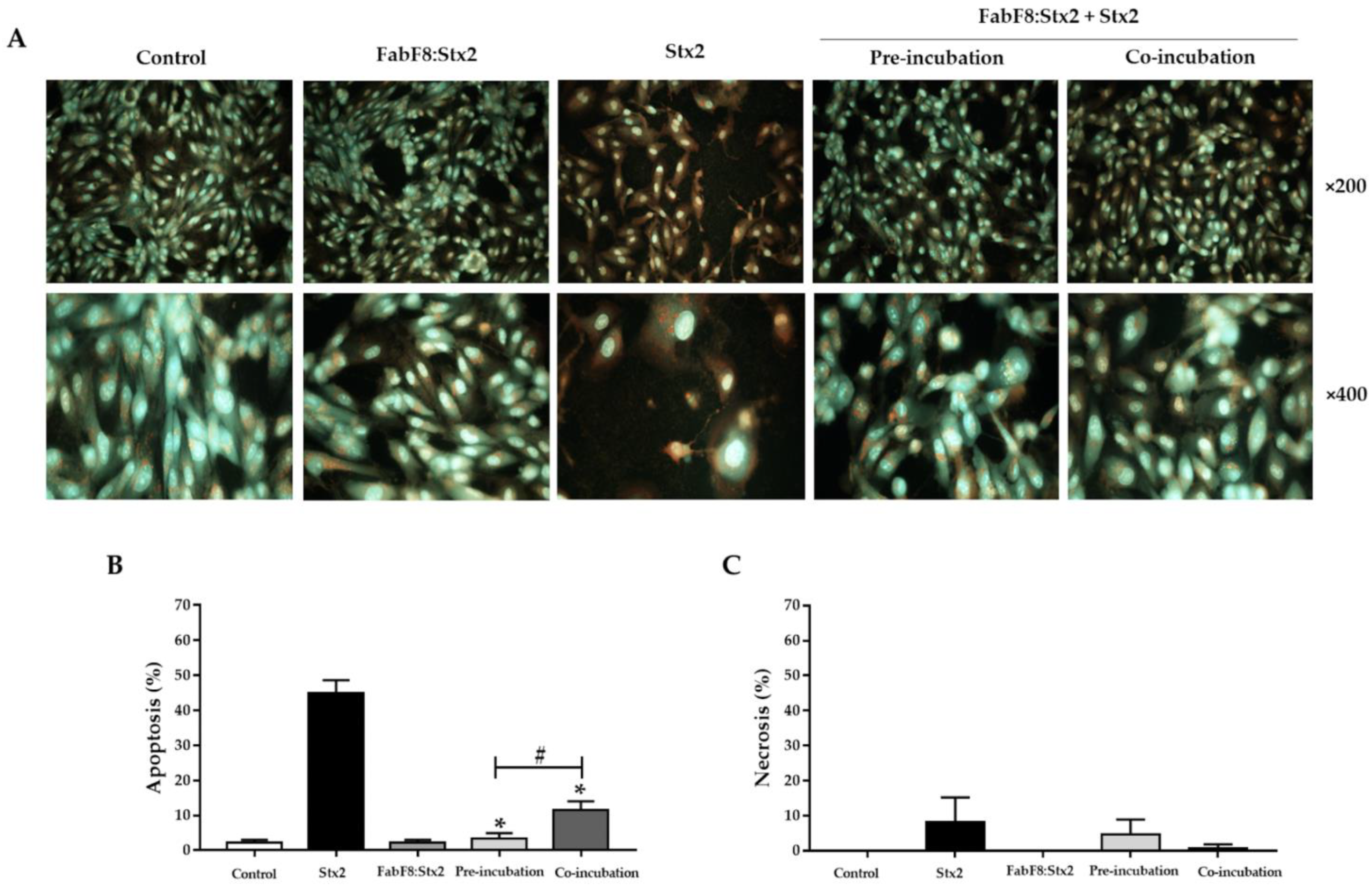Toxins 13 00825 g005