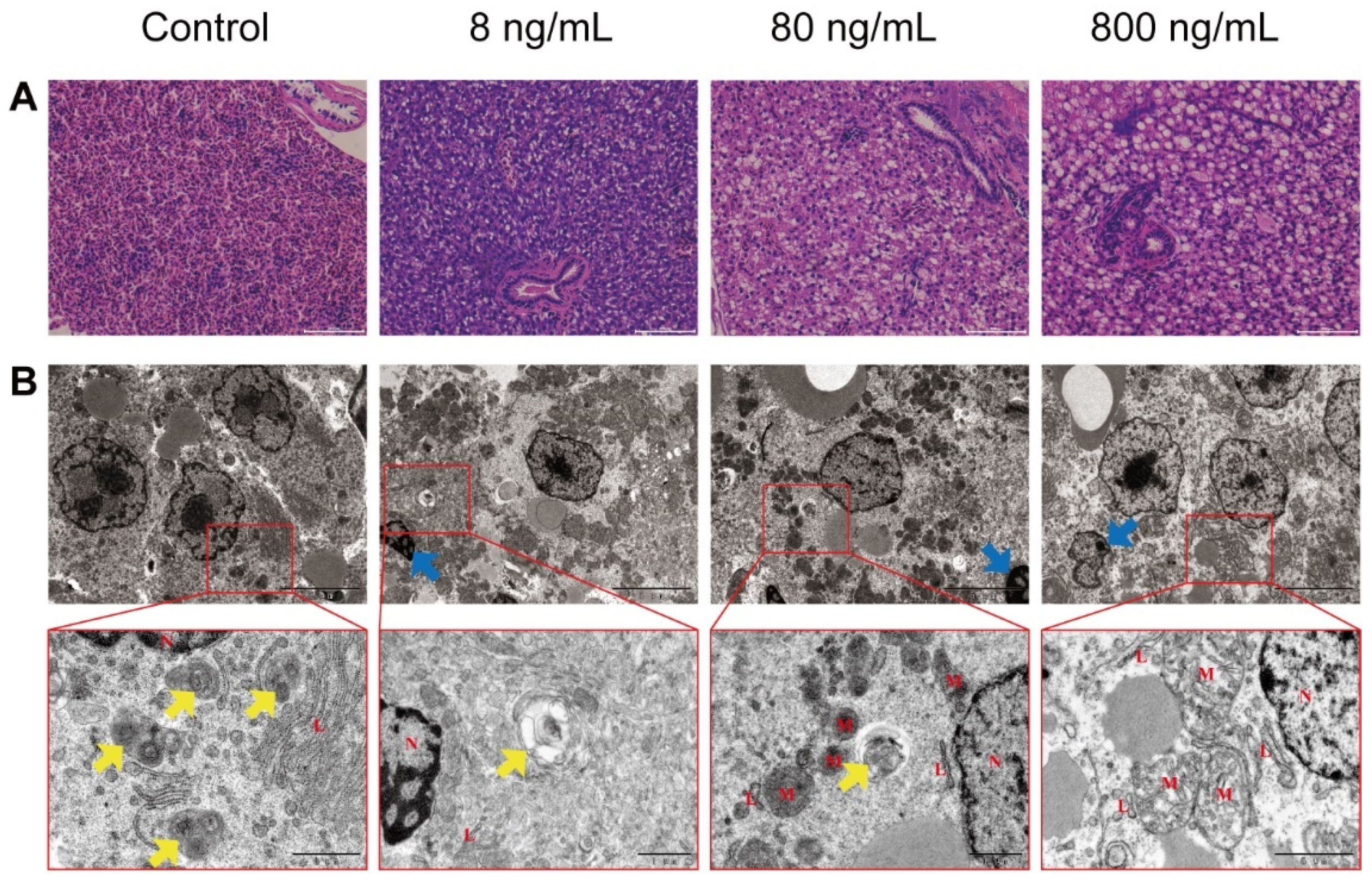 Toxins 13 00826 g001 550