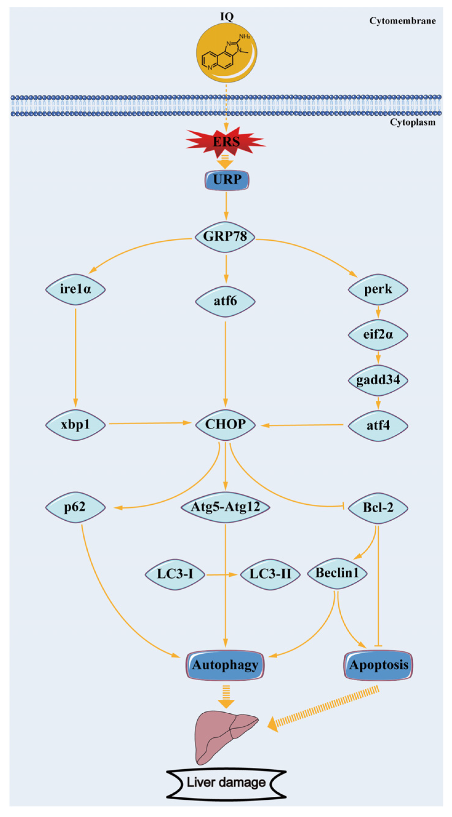 Toxins 13 00826 g006 550