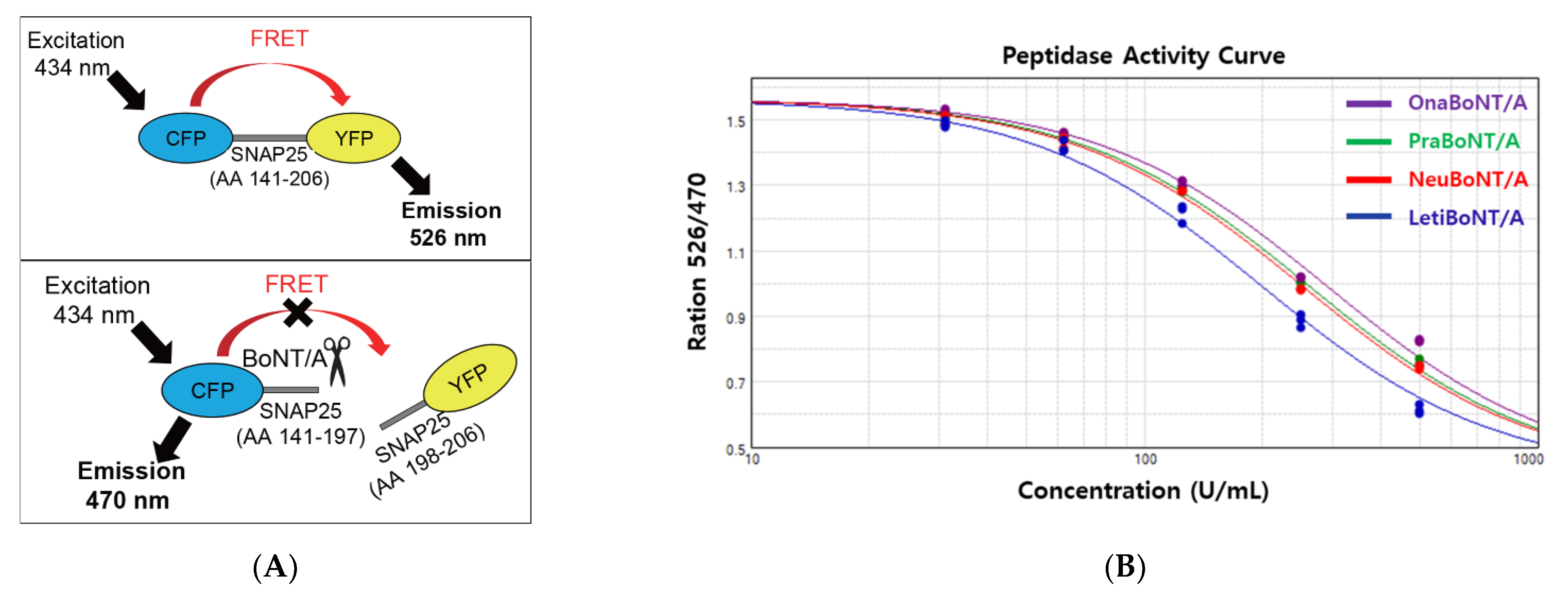 Toxins 13 00833 g002 550