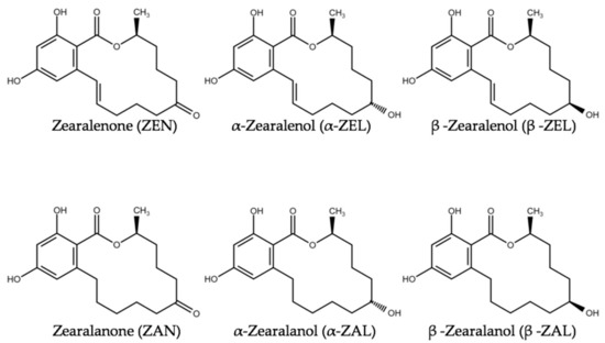 Isoflavones in Animals: Metabolism and Effects in Livestock