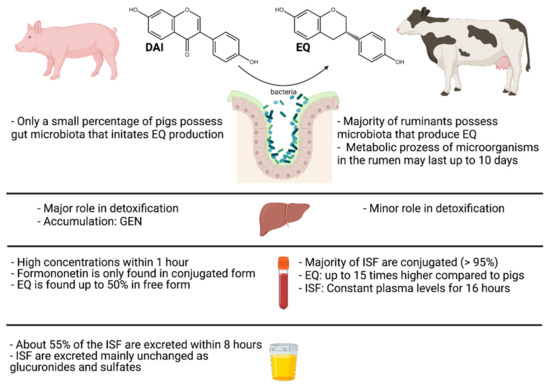 Isoflavones in Animals: Metabolism and Effects in Livestock