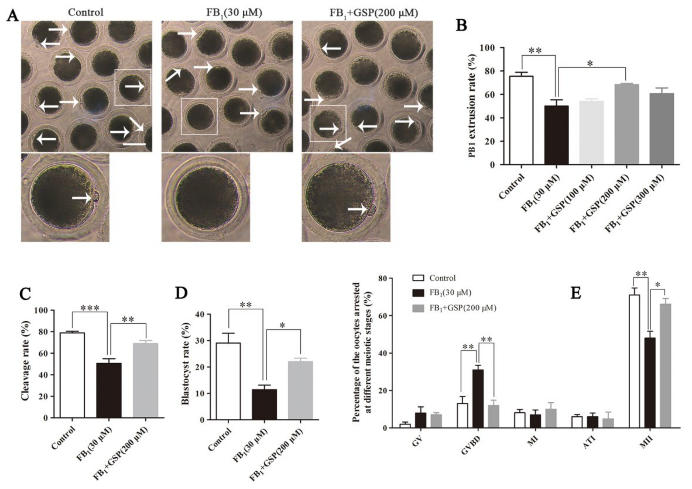 Toxins 13 00841 g001