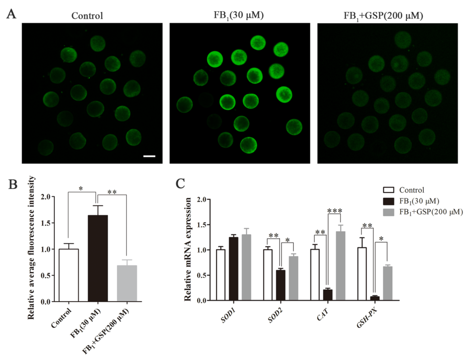 Toxins 13 00841 g004