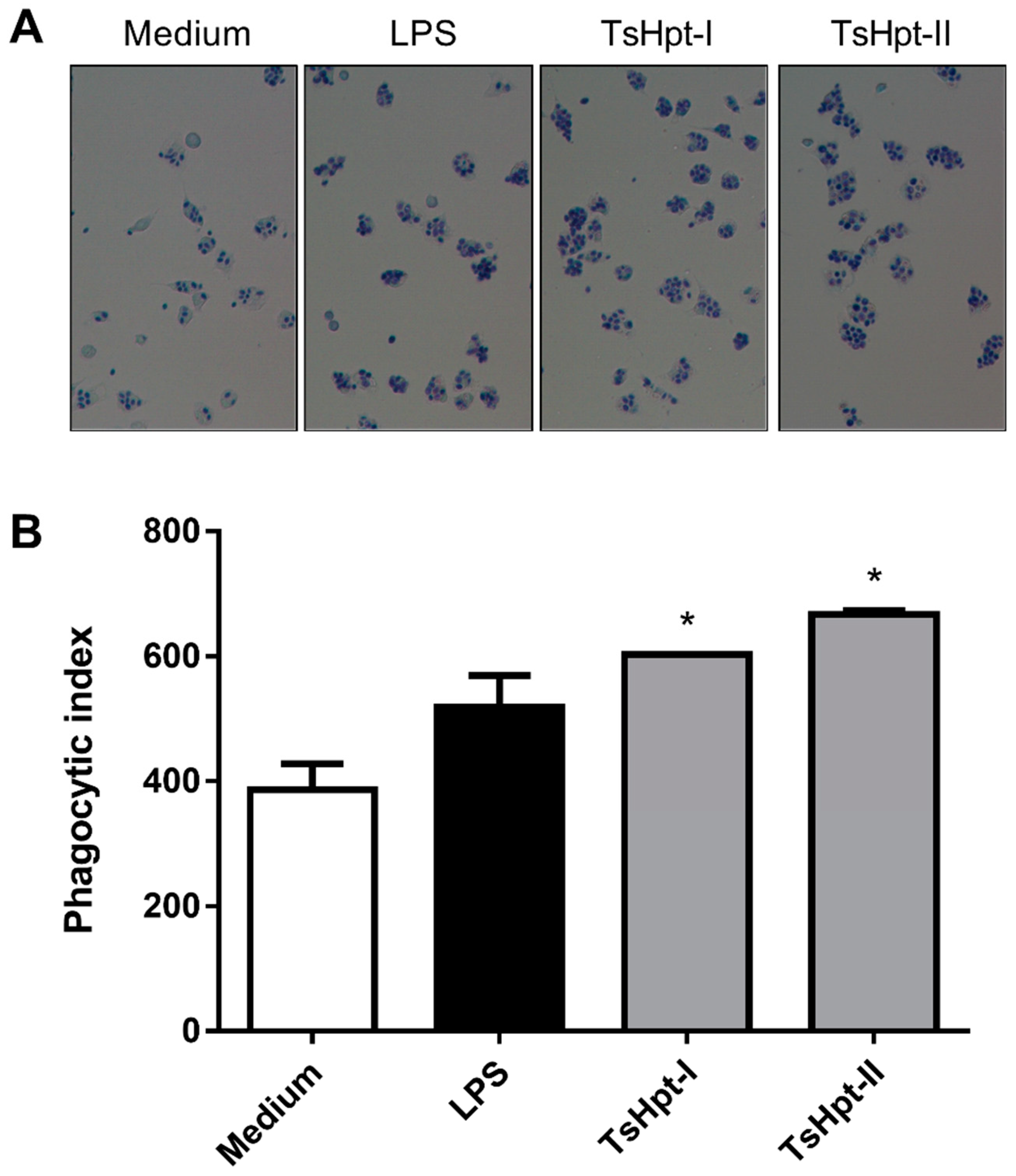 Toxins 13 00846 g005