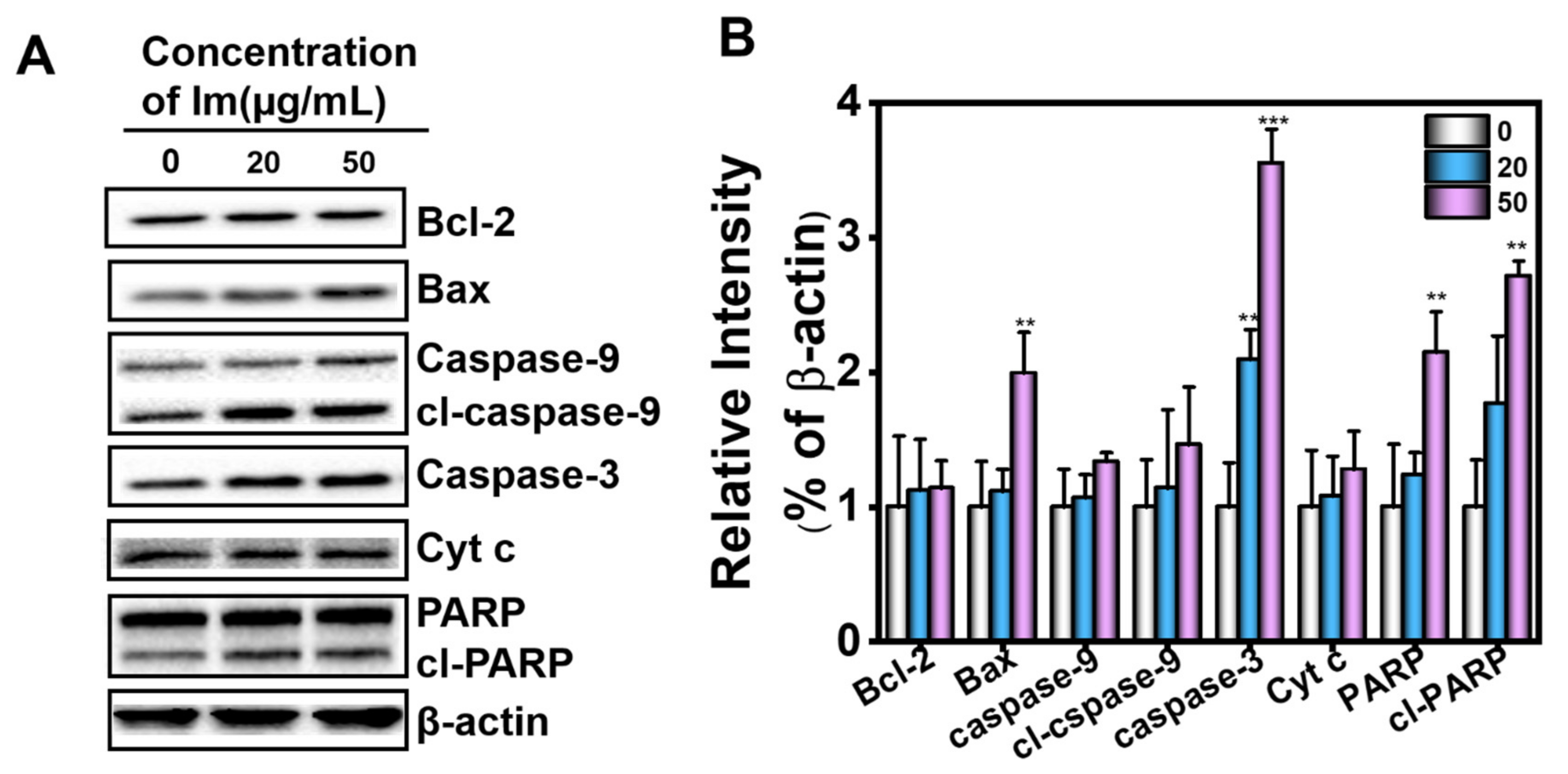 Toxins 13 00849 g007 550