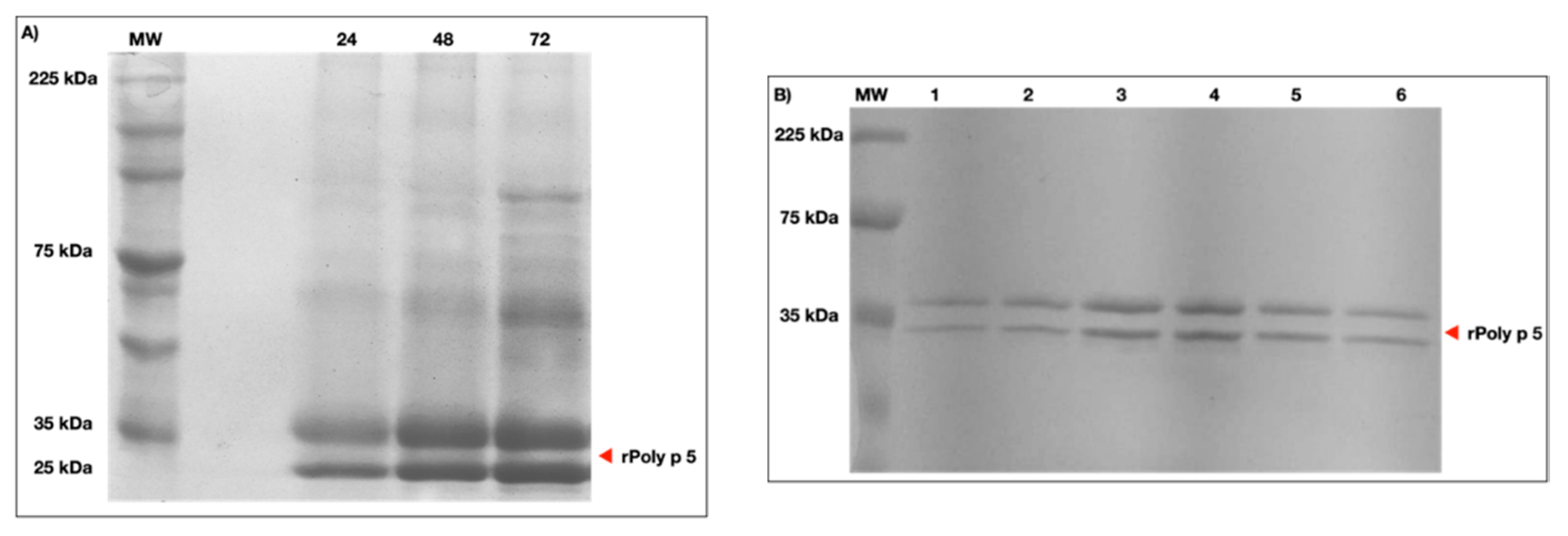 Toxins 13 00850 g001 550
