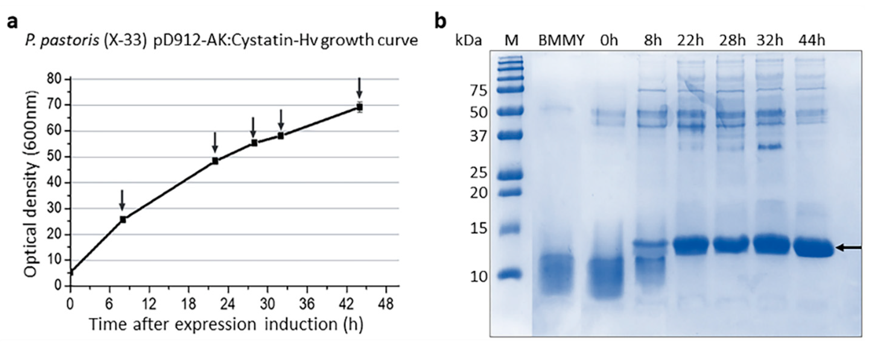 Toxins 13 00857 g002 Toxins 13 00857 g002