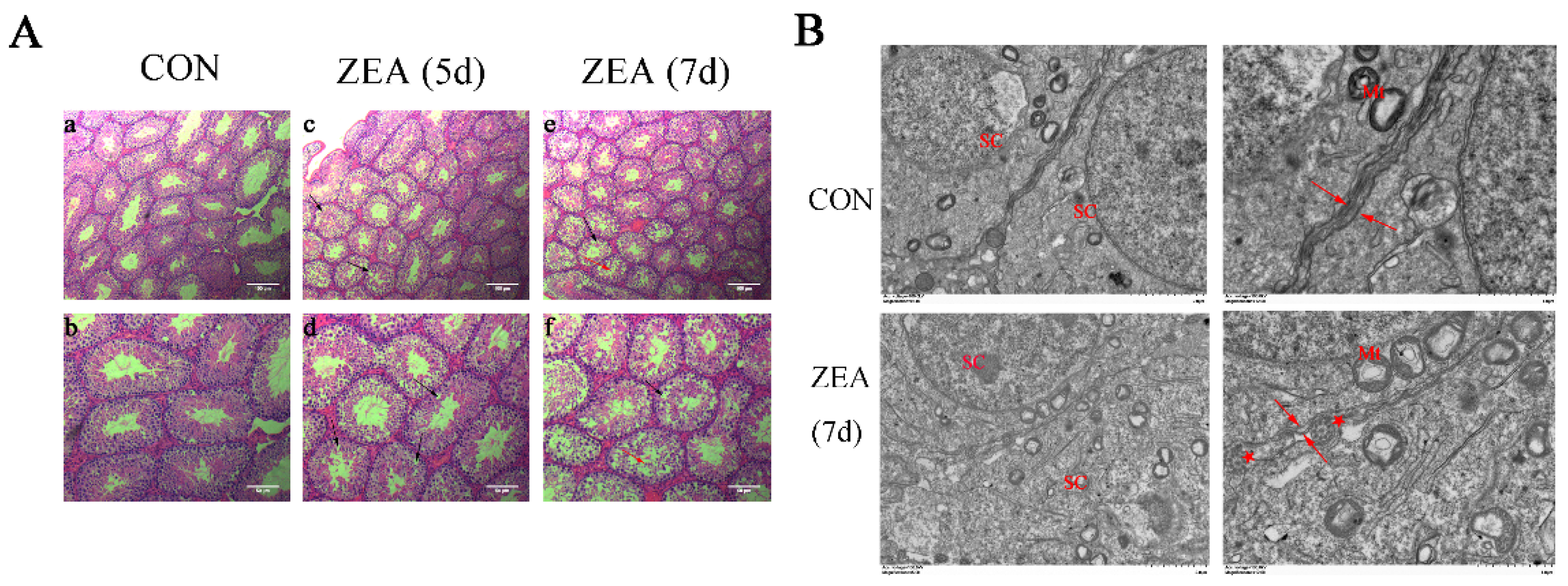 Toxins 13 00875 g002