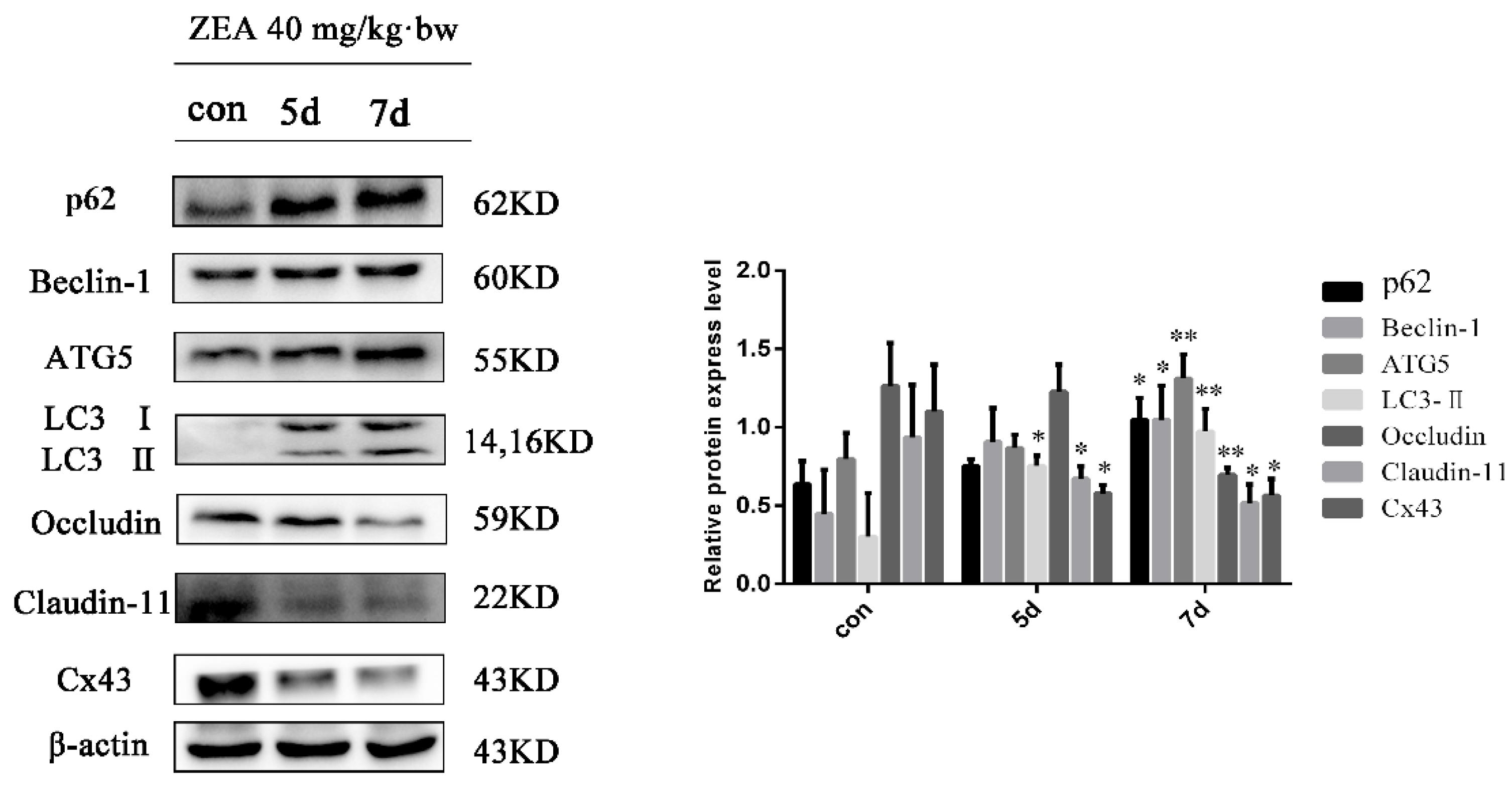 Toxins 13 00875 g003