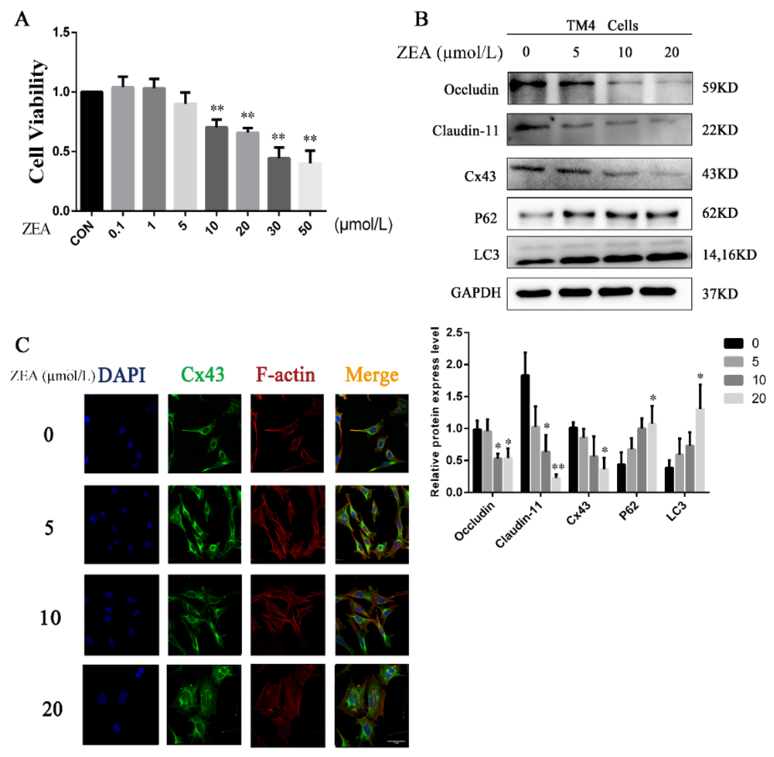 Toxins 13 00875 g004