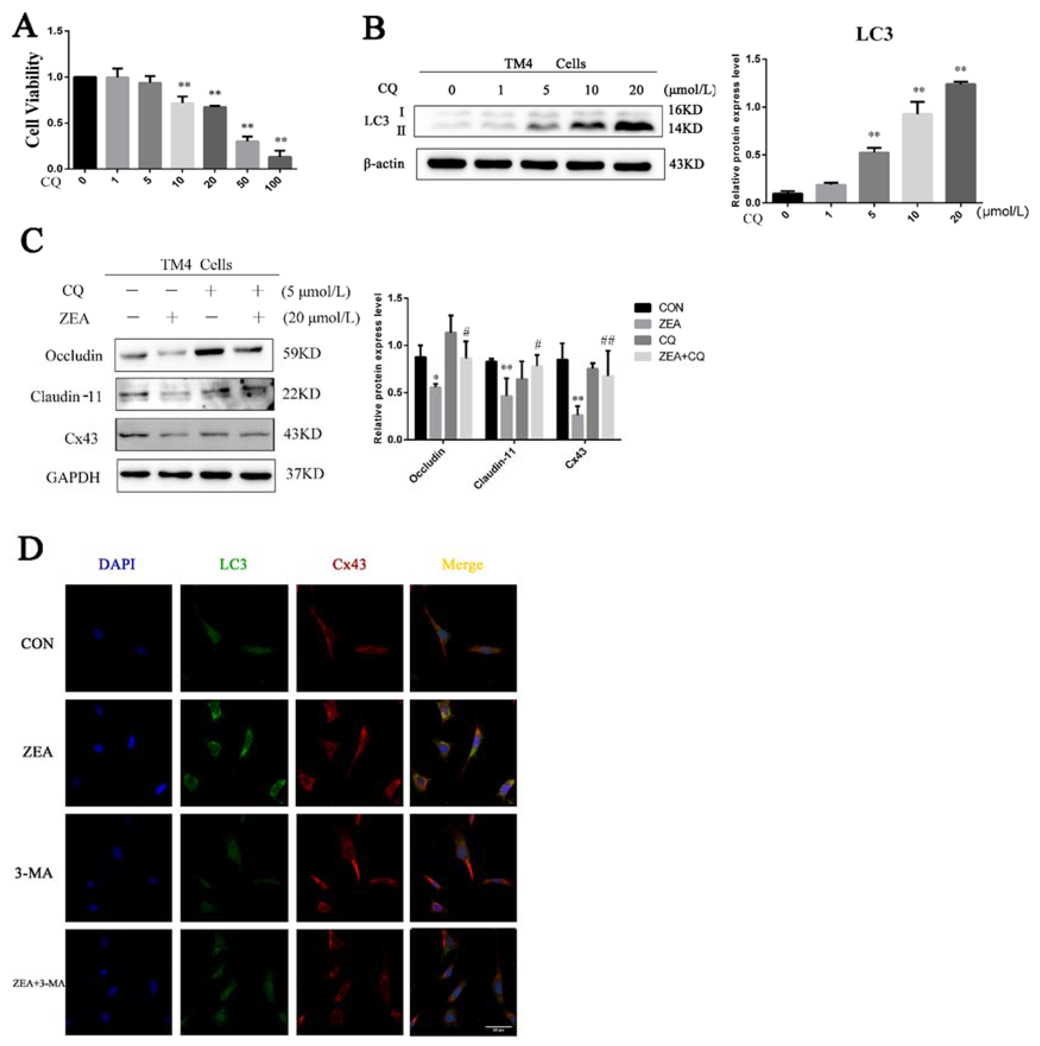 Toxins 13 00875 g005