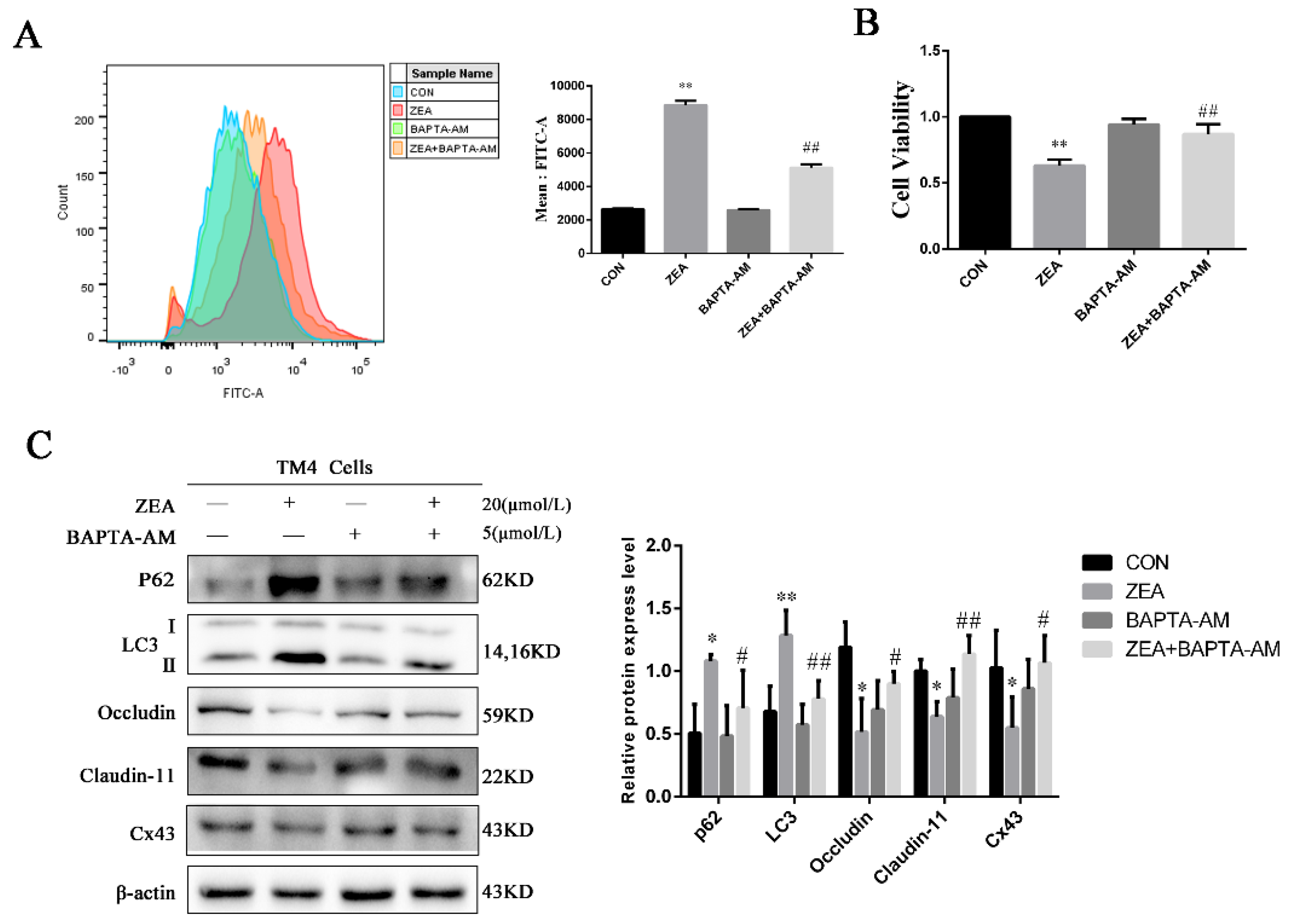 Toxins 13 00875 g006