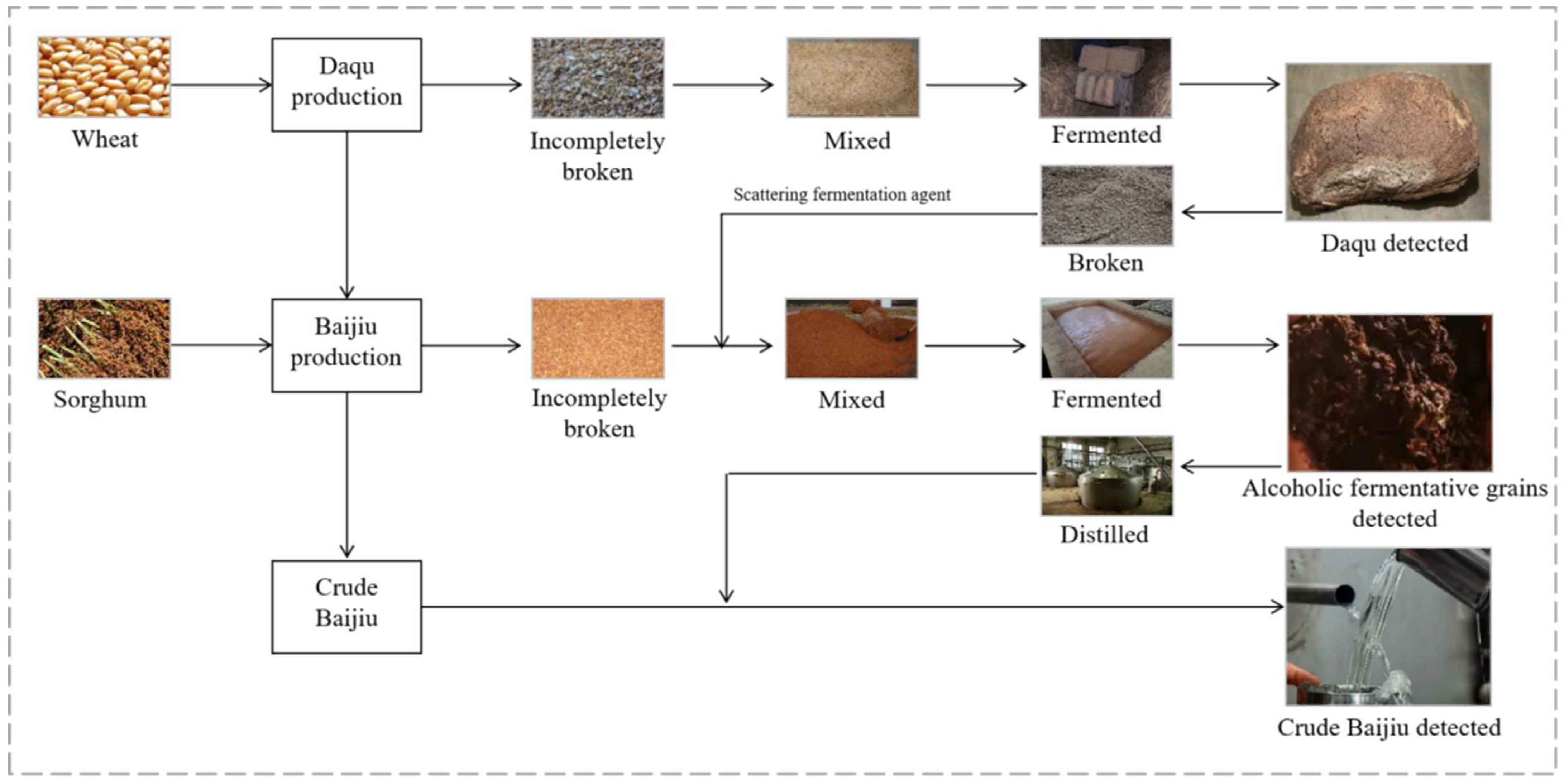 Toxins 13 00876 g001 Toxins 13 00876 g001