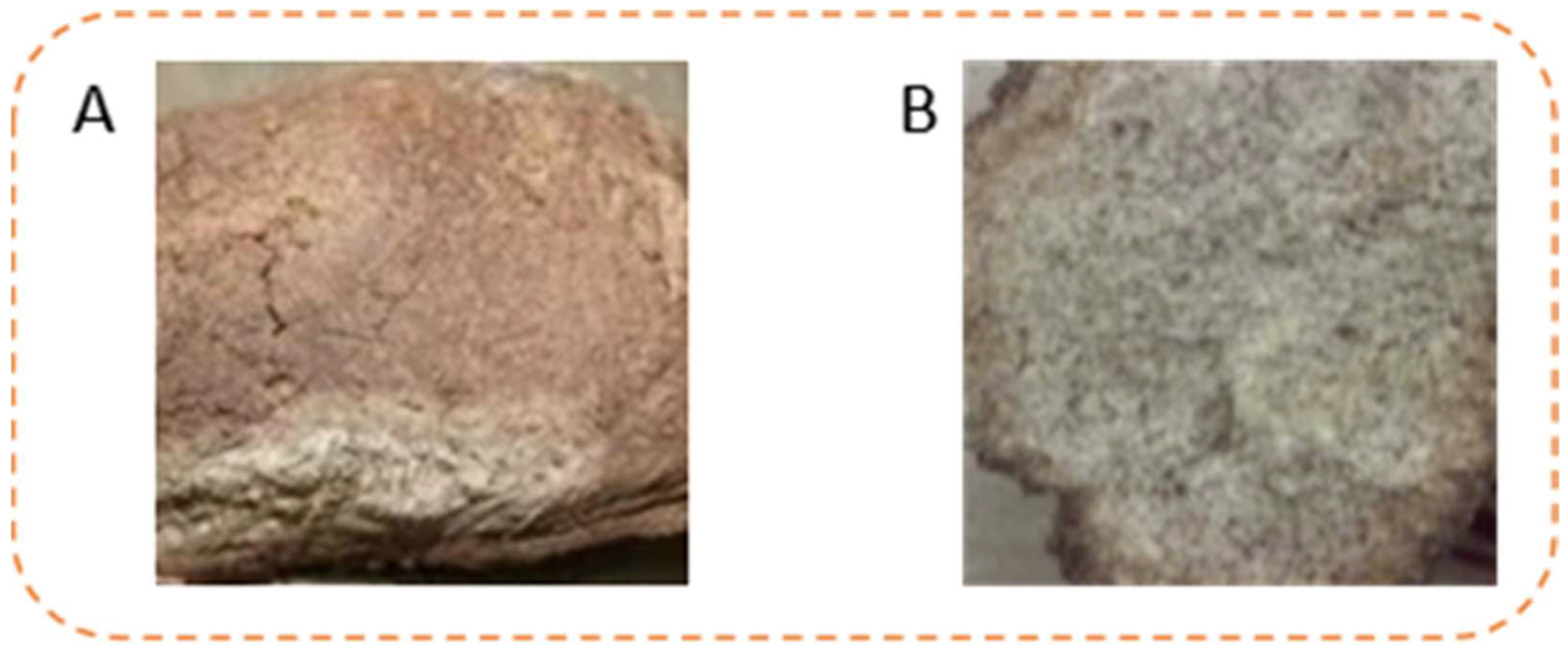 Toxins 13 00876 g003 Toxins 13 00876 g003