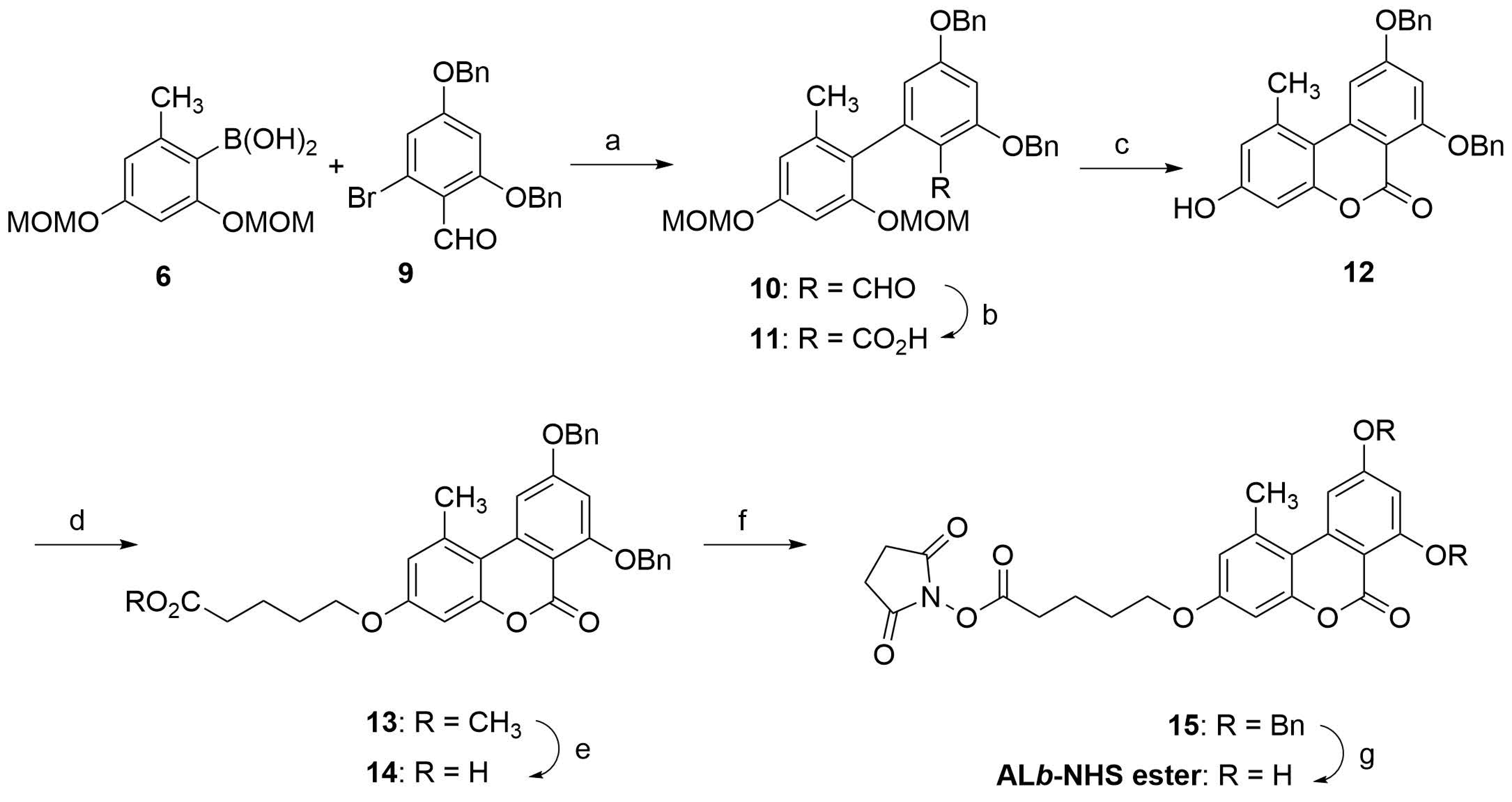 Toxins 13 00883 sch002