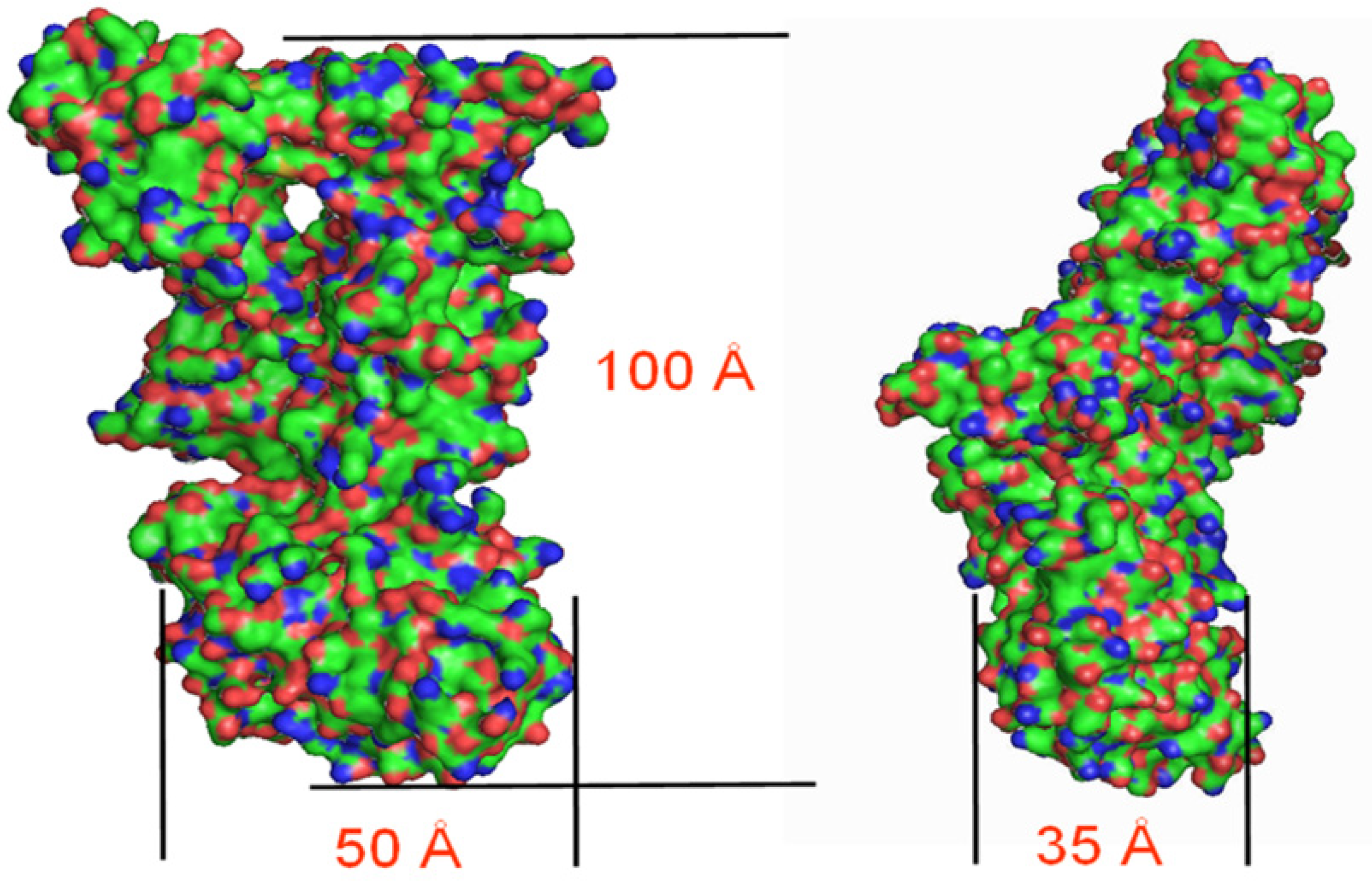 Toxins 13 00888 g003