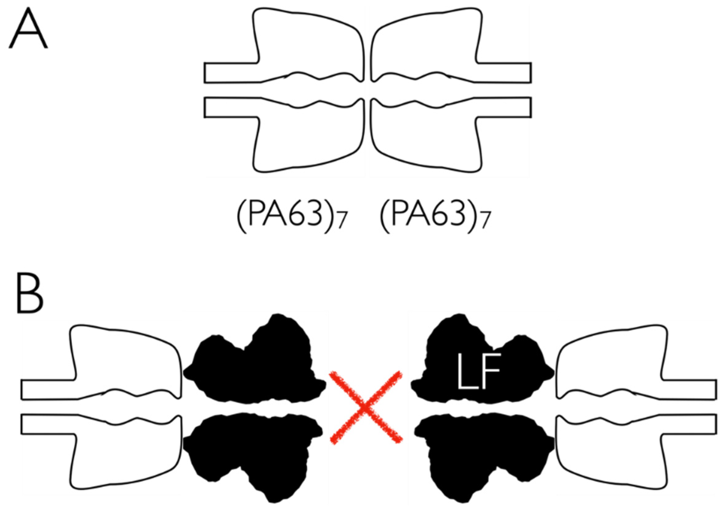 Toxins 13 00888 g009