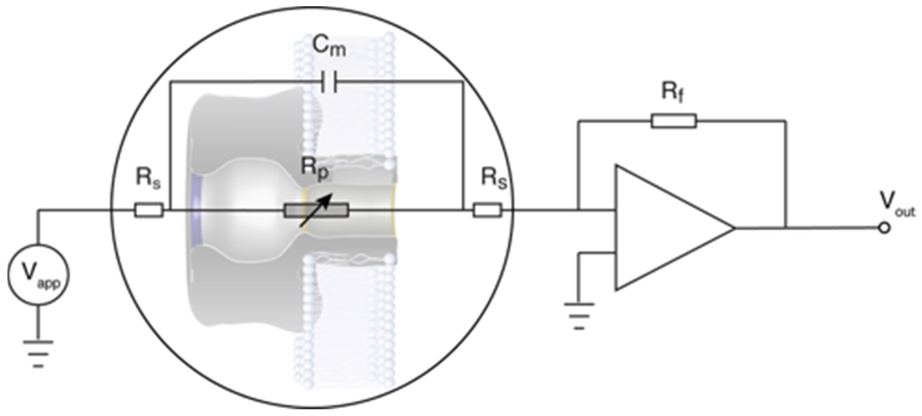 Toxins 13 00888 g010