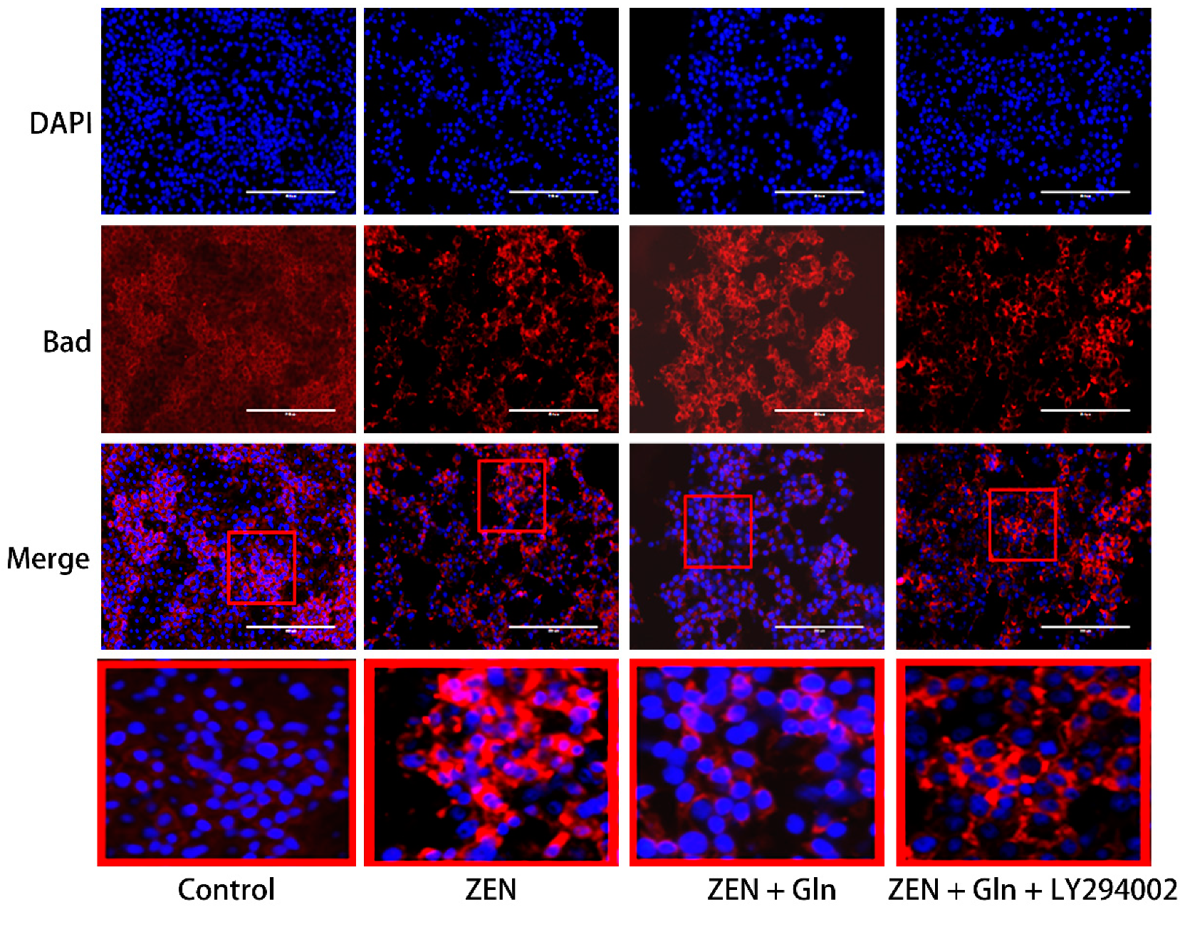 Toxins 13 00891 g008 550