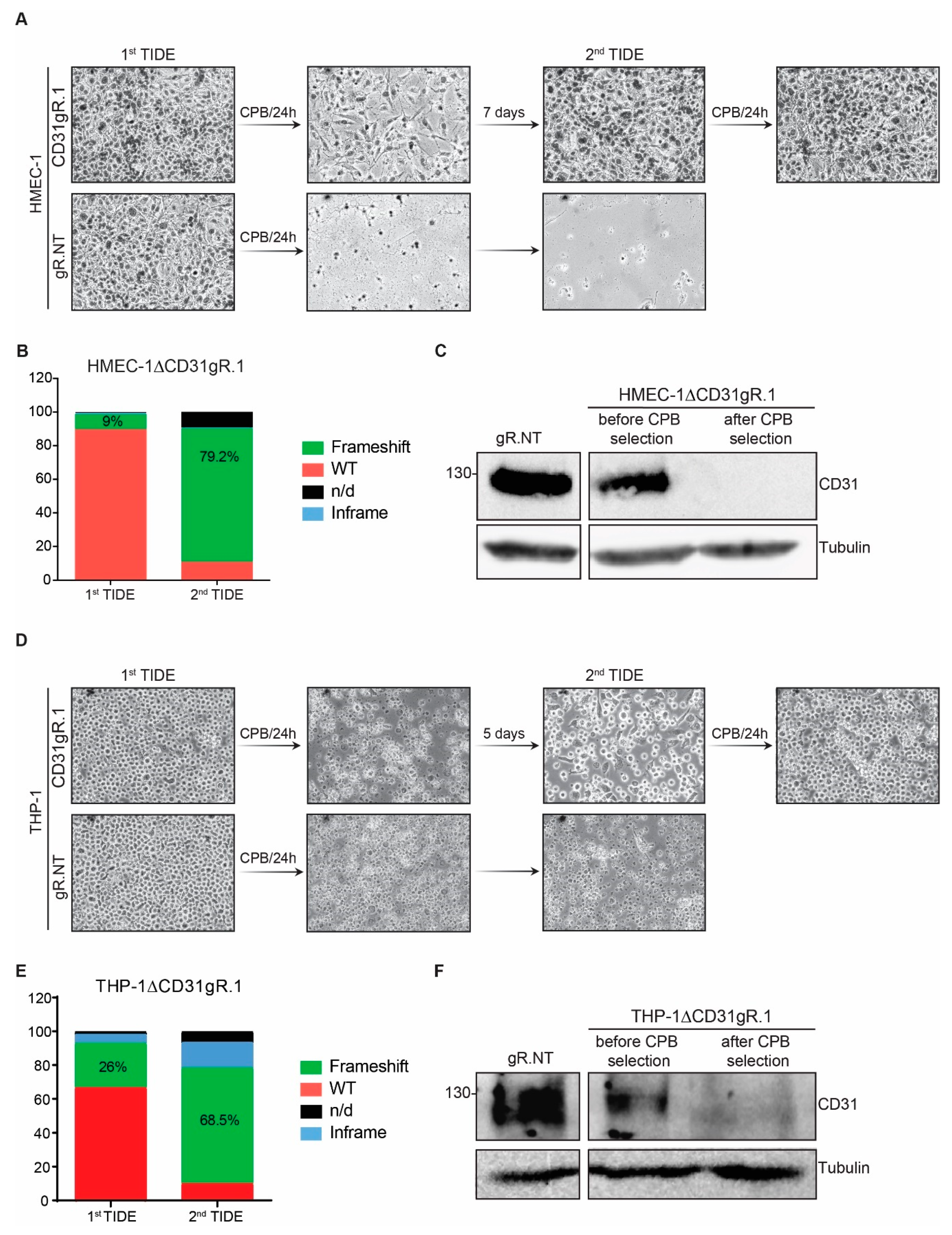 Toxins 13 00893 g004 550