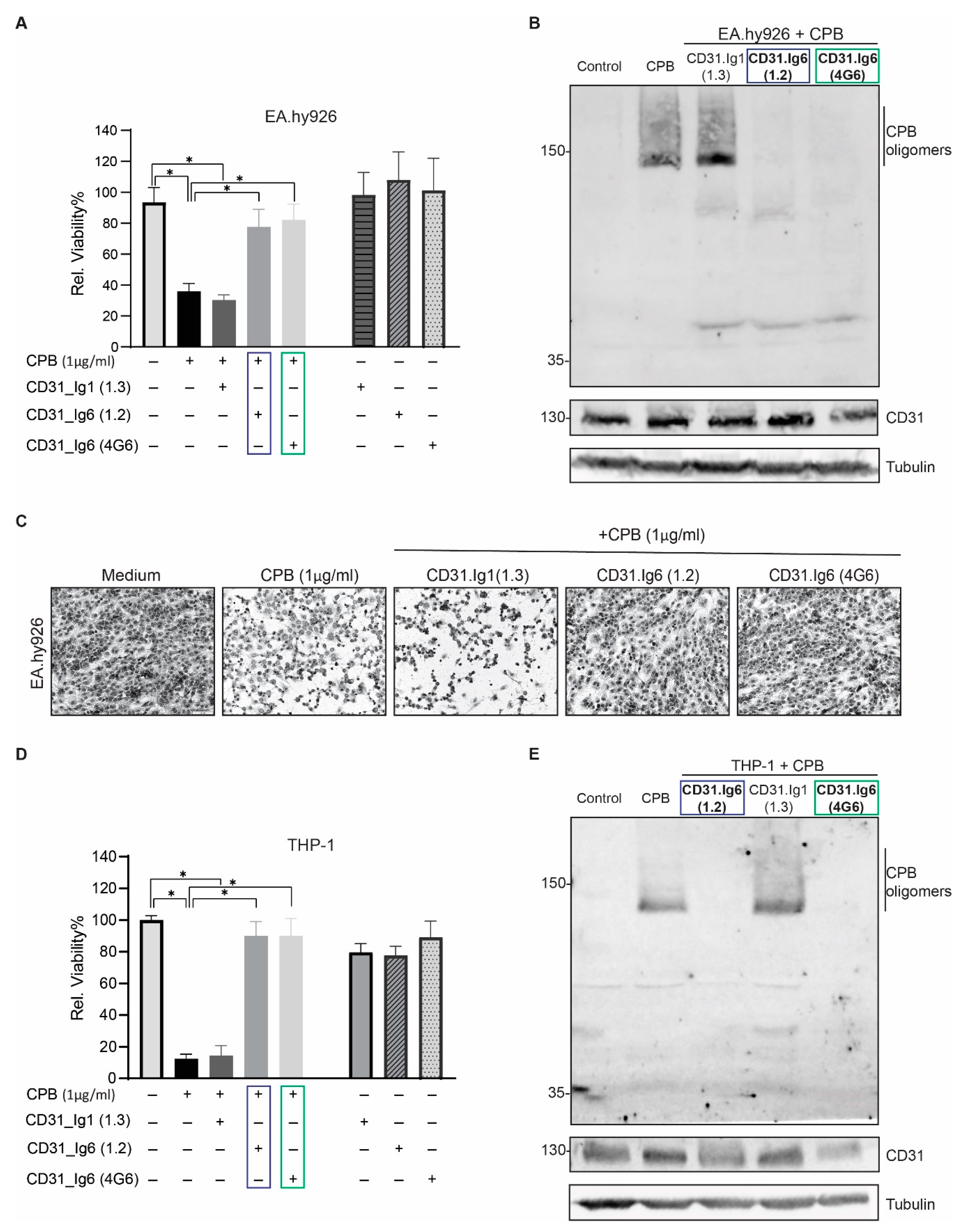 Toxins 13 00893 g005 550