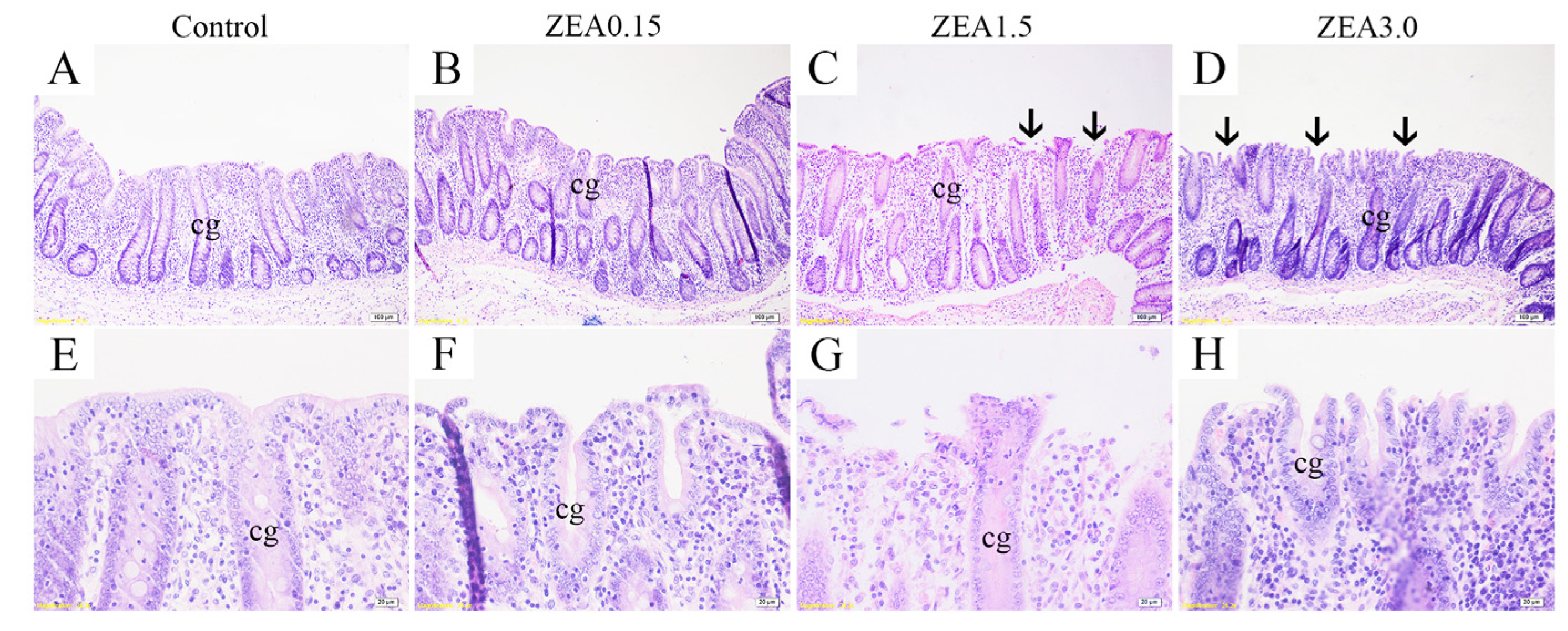 Toxins 13 00902 g001