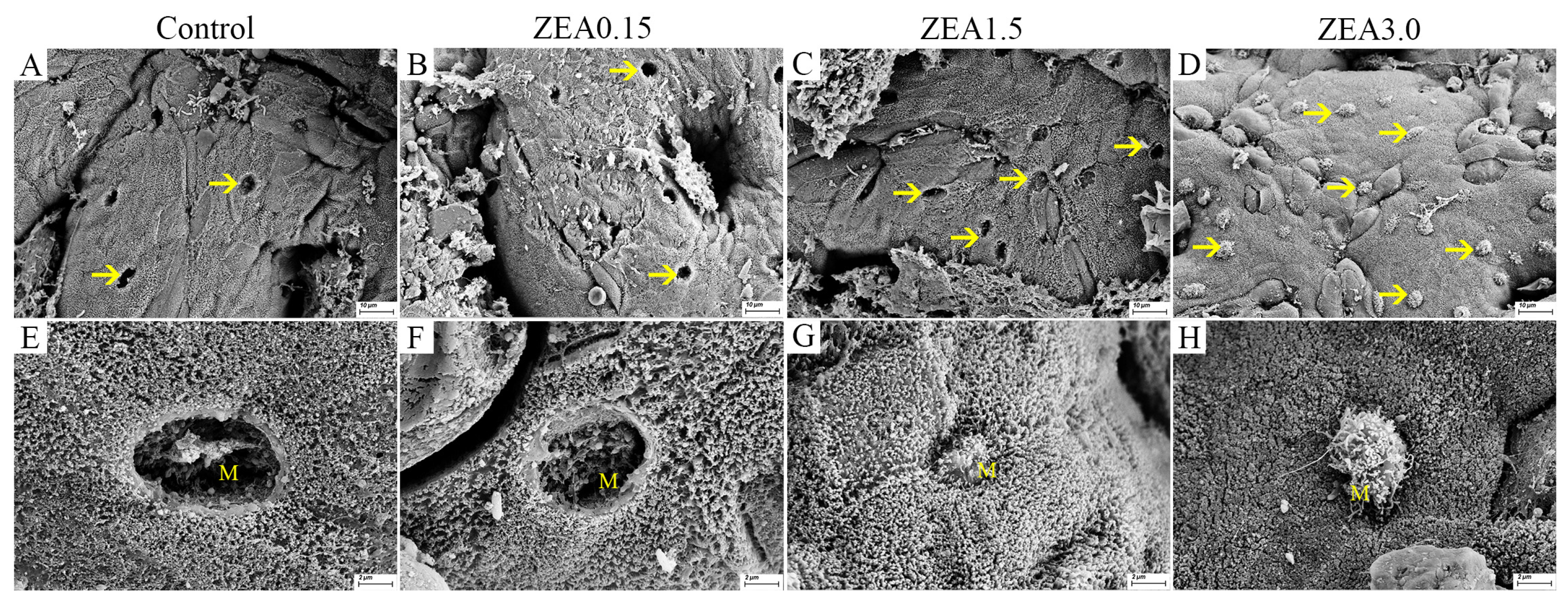 Toxins 13 00902 g002