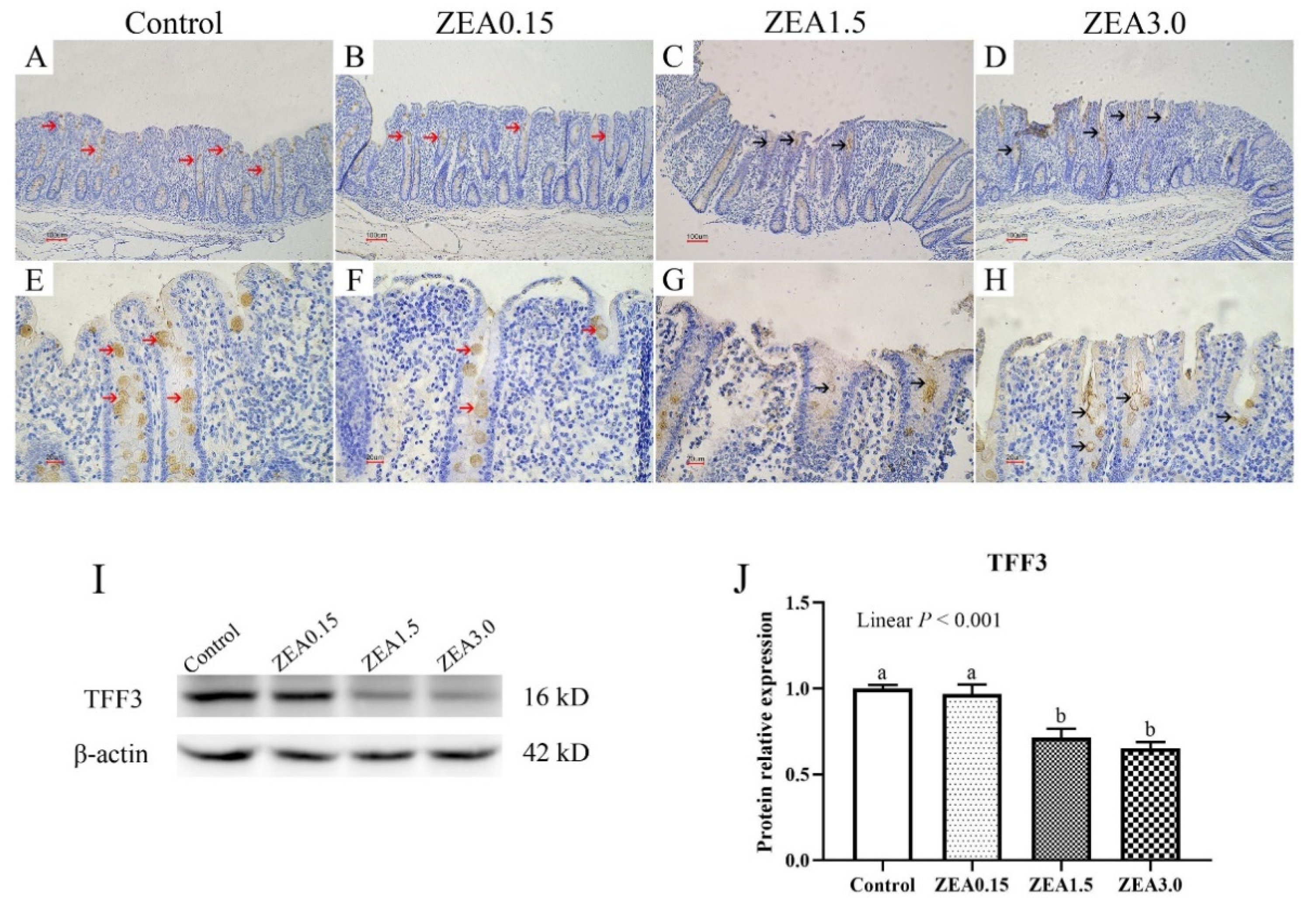 Toxins 13 00902 g004