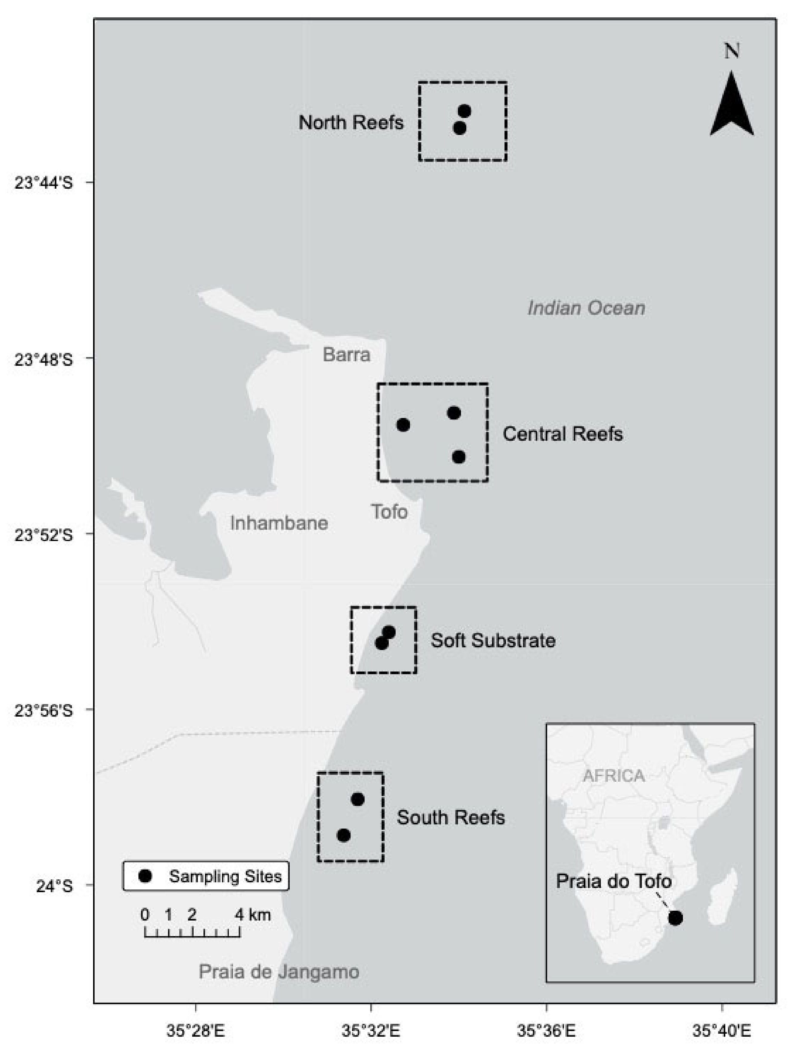 Toxins 13 00903 g001