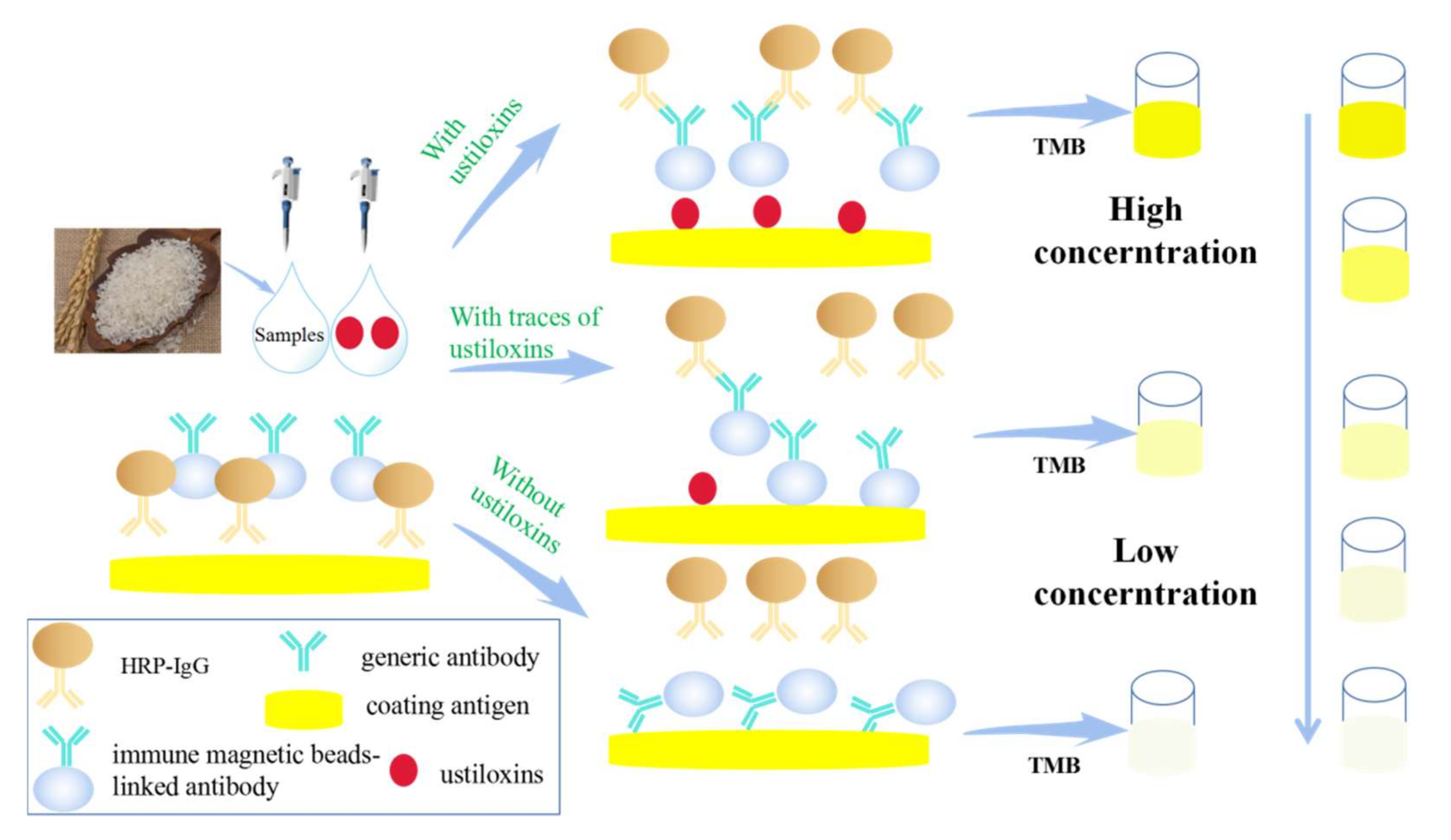 Toxins 13 00907 g006 Toxins 13 00907 g006