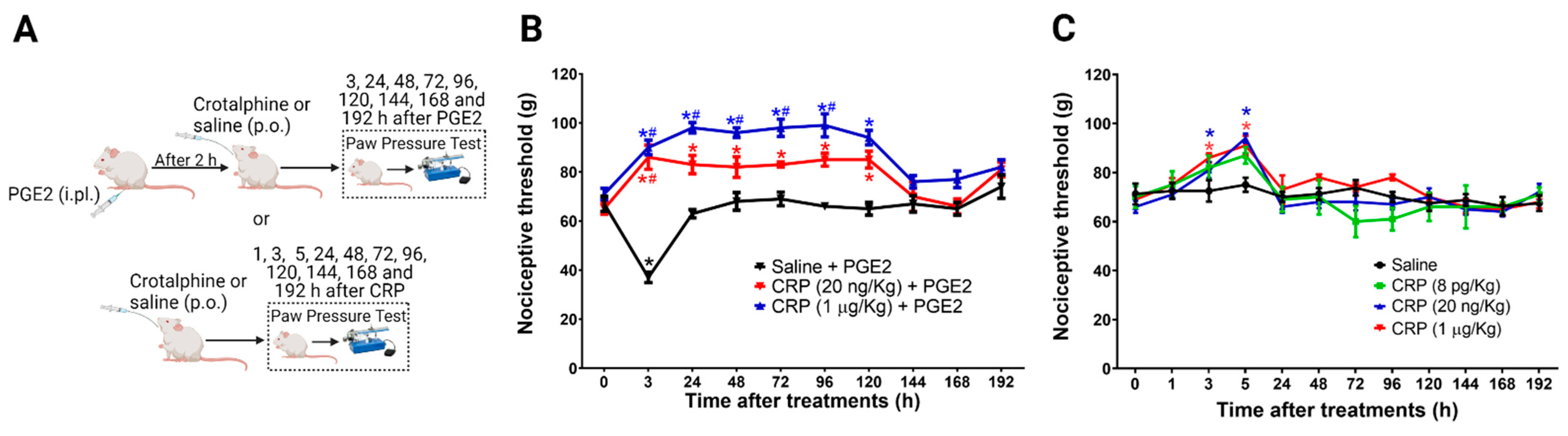 PKCζ-Mitogen-Activated Protein Kinase Signaling Mediates Crotalphine ...