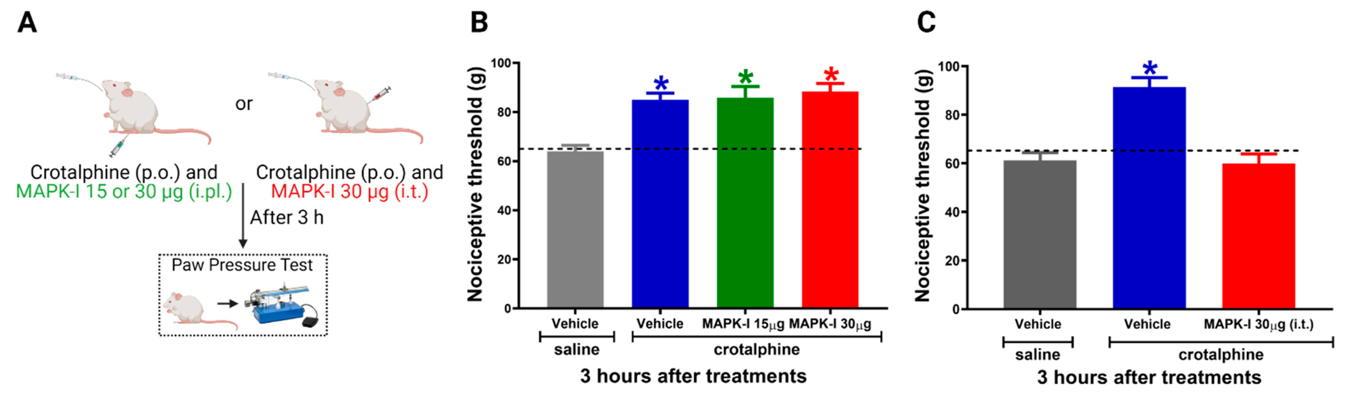 Toxins 13 00912 g003
