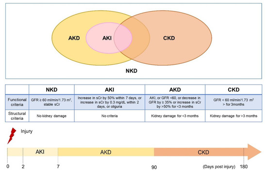 Uremic Toxins and Protein-Bound Therapeutics in AKI and CKD: Up-to-Date