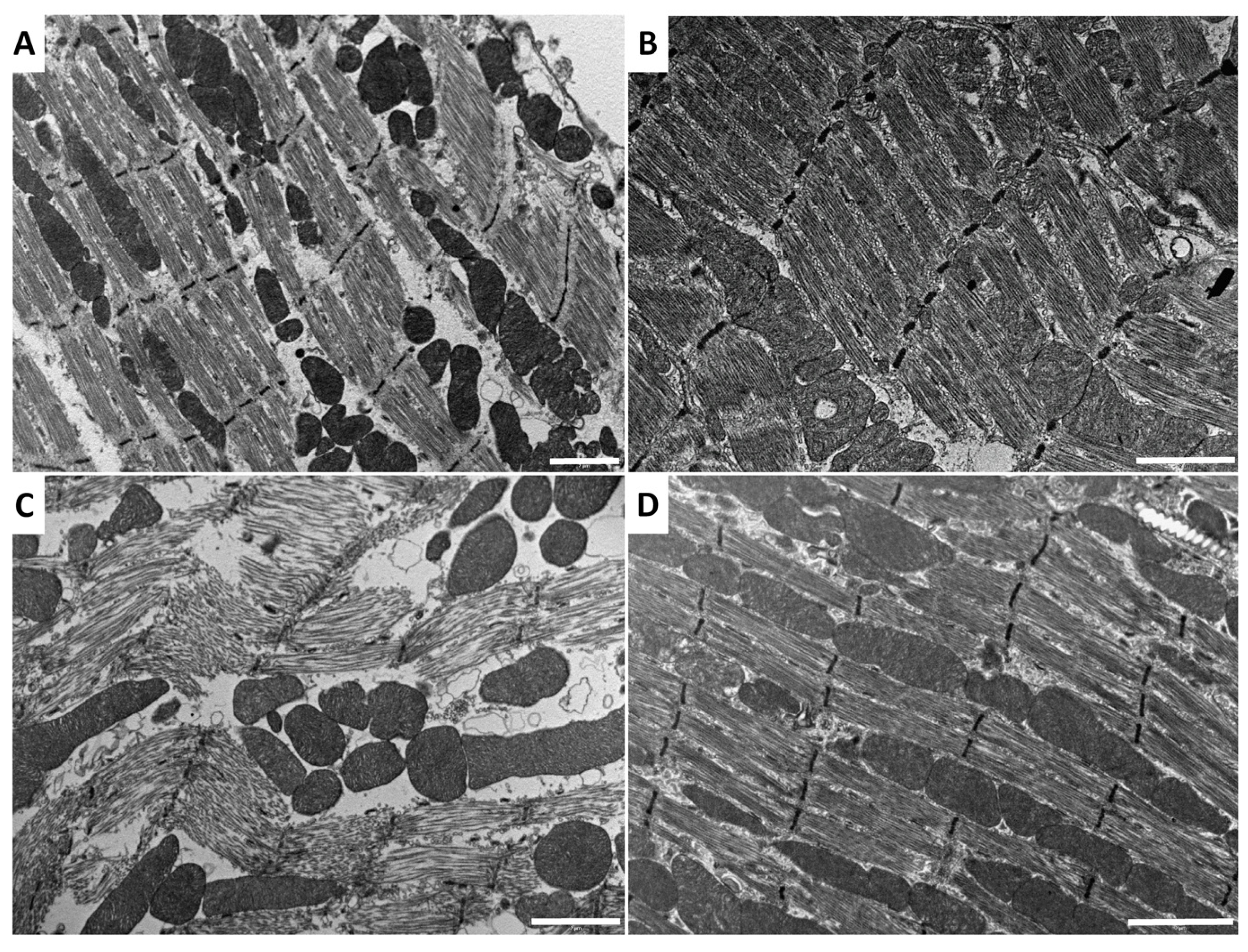 Toxins 14 00011 g005