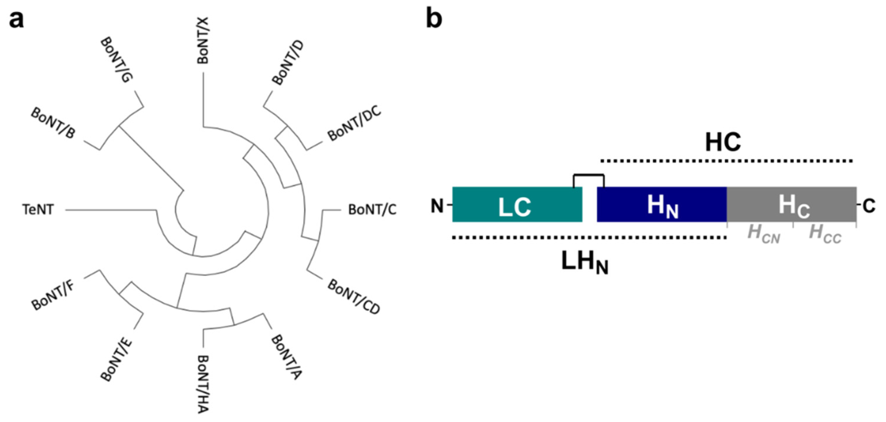 Toxins 14 00014 g001 550