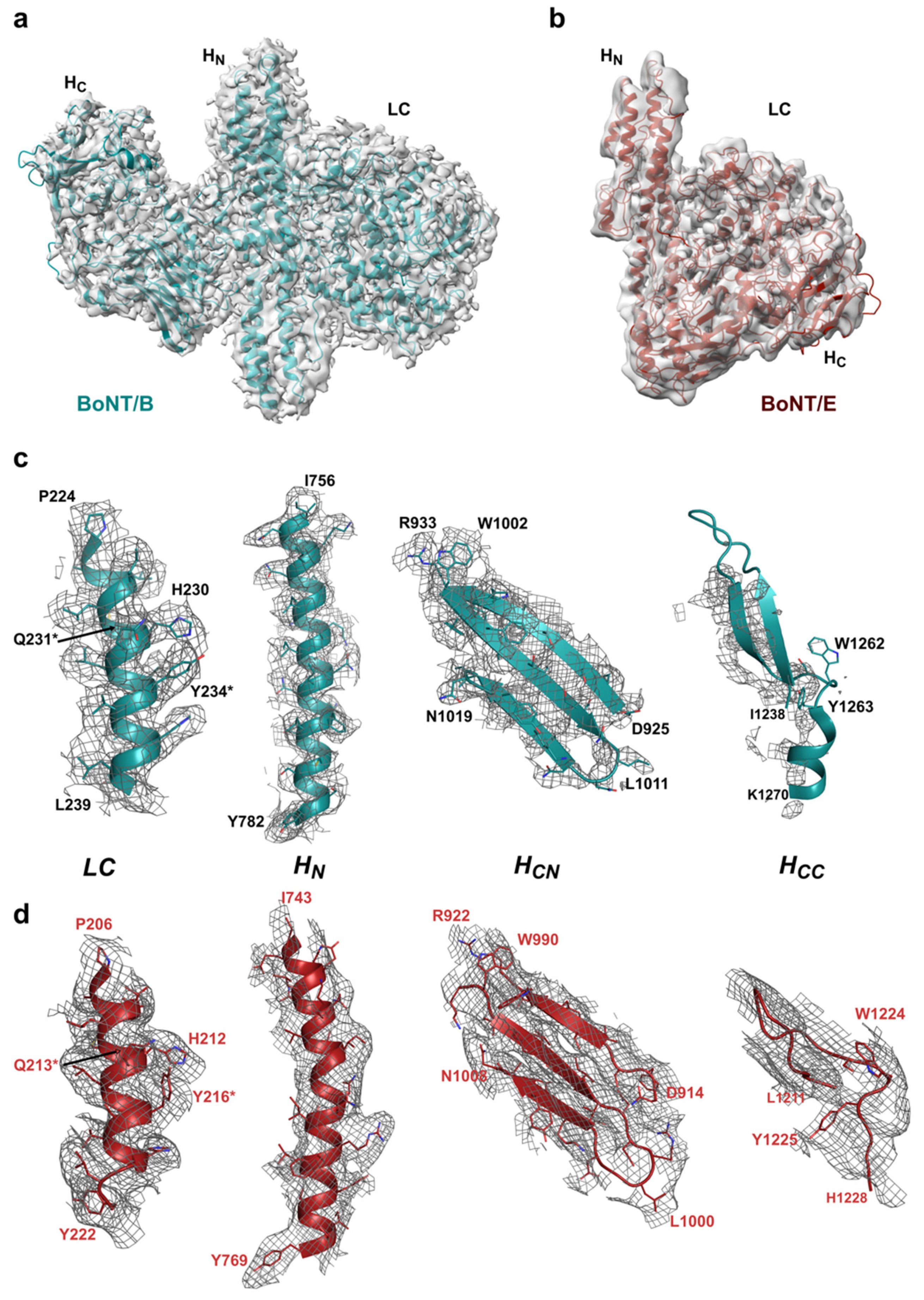 Toxins 14 00014 g003 550
