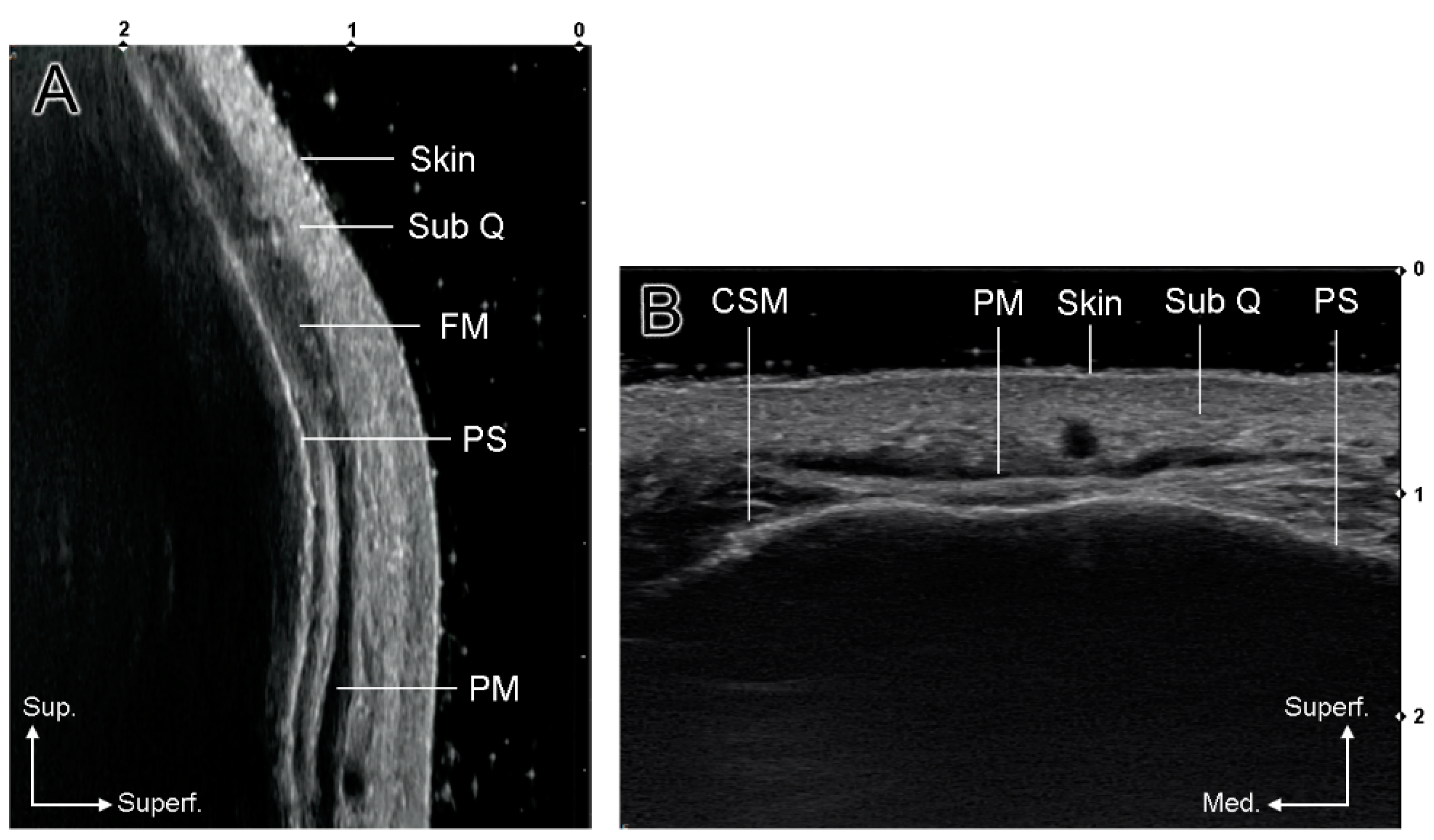 Toxins 14 00017 g004 550