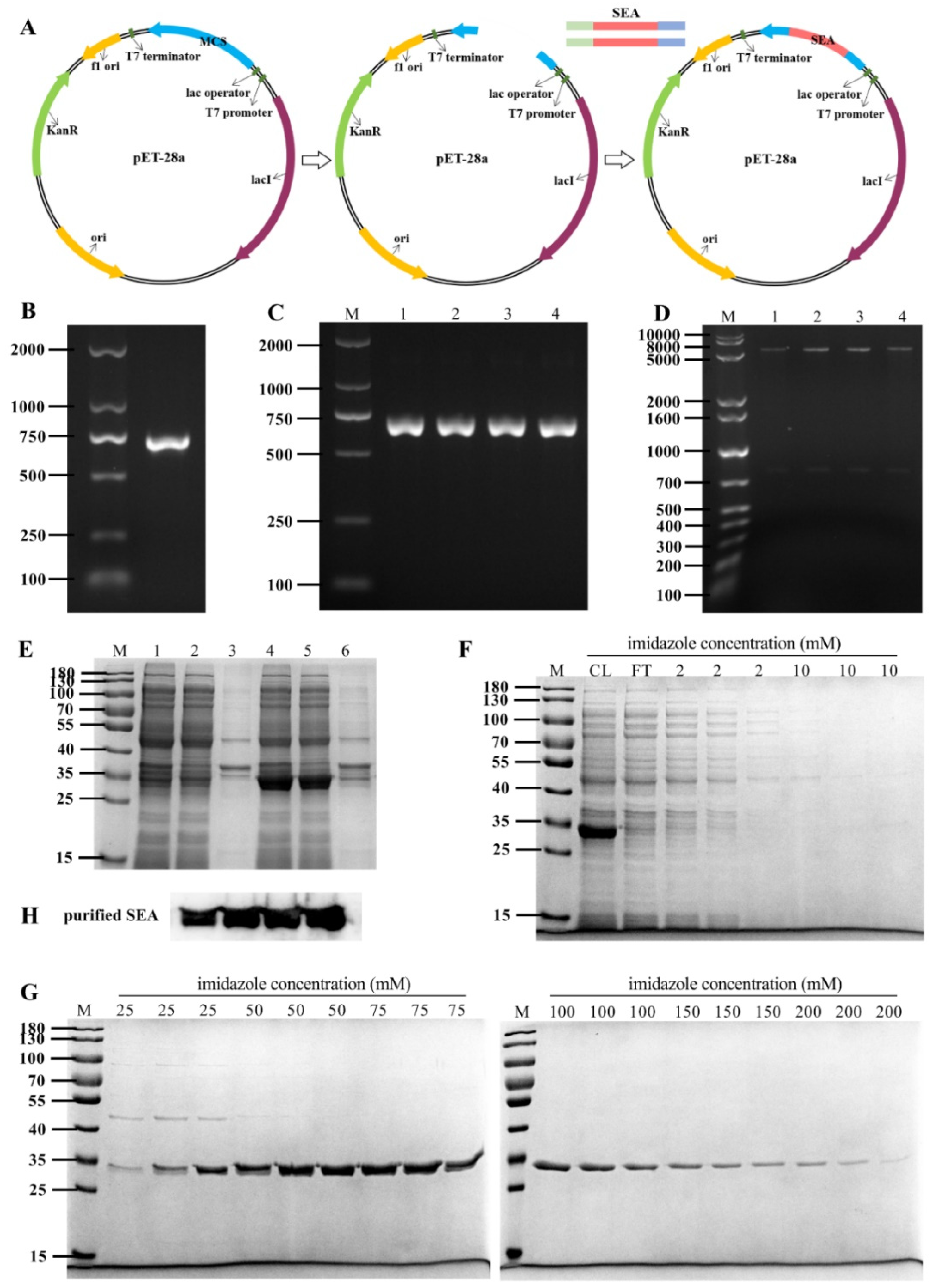 Toxins 14 00029 g001