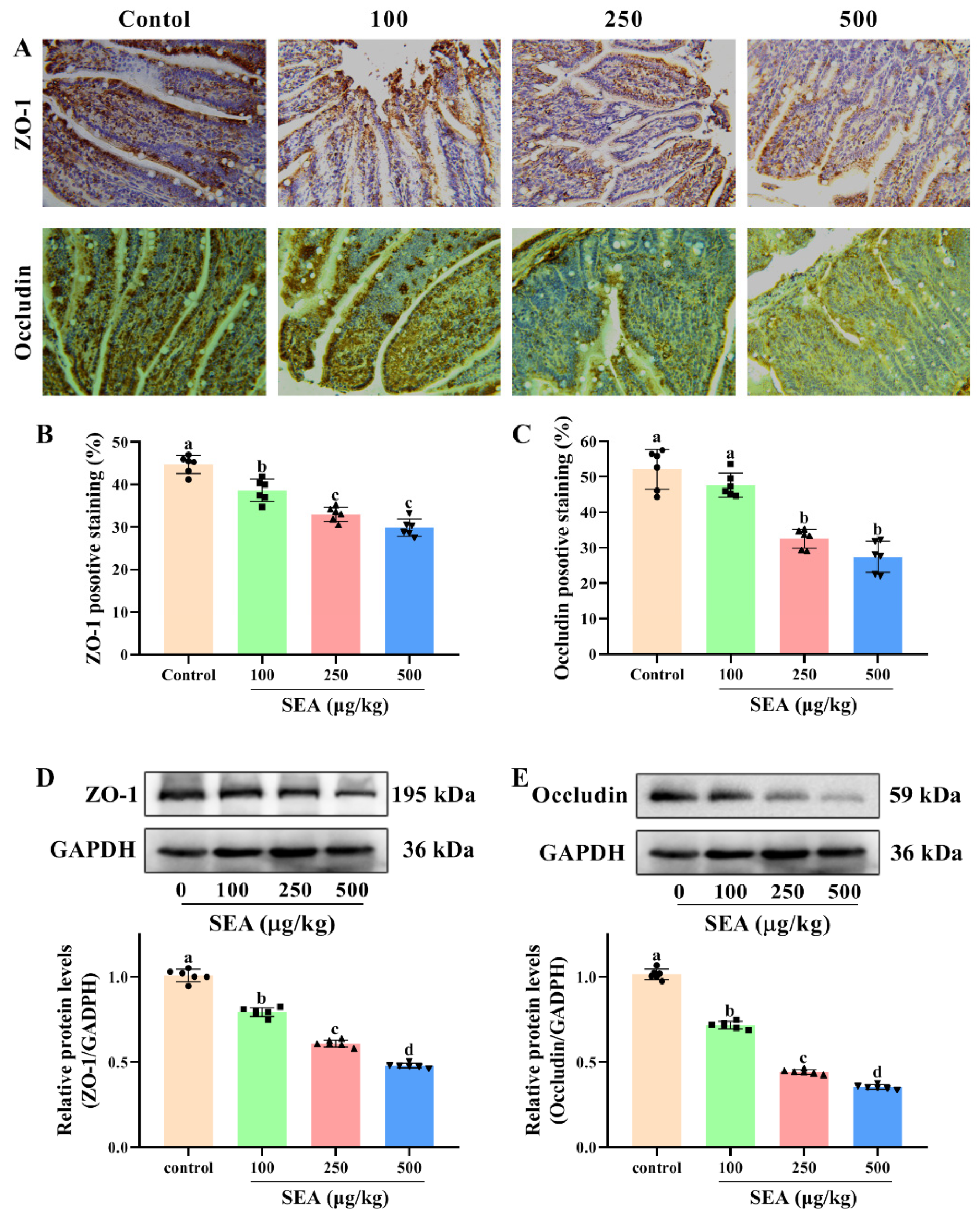 Toxins 14 00029 g003