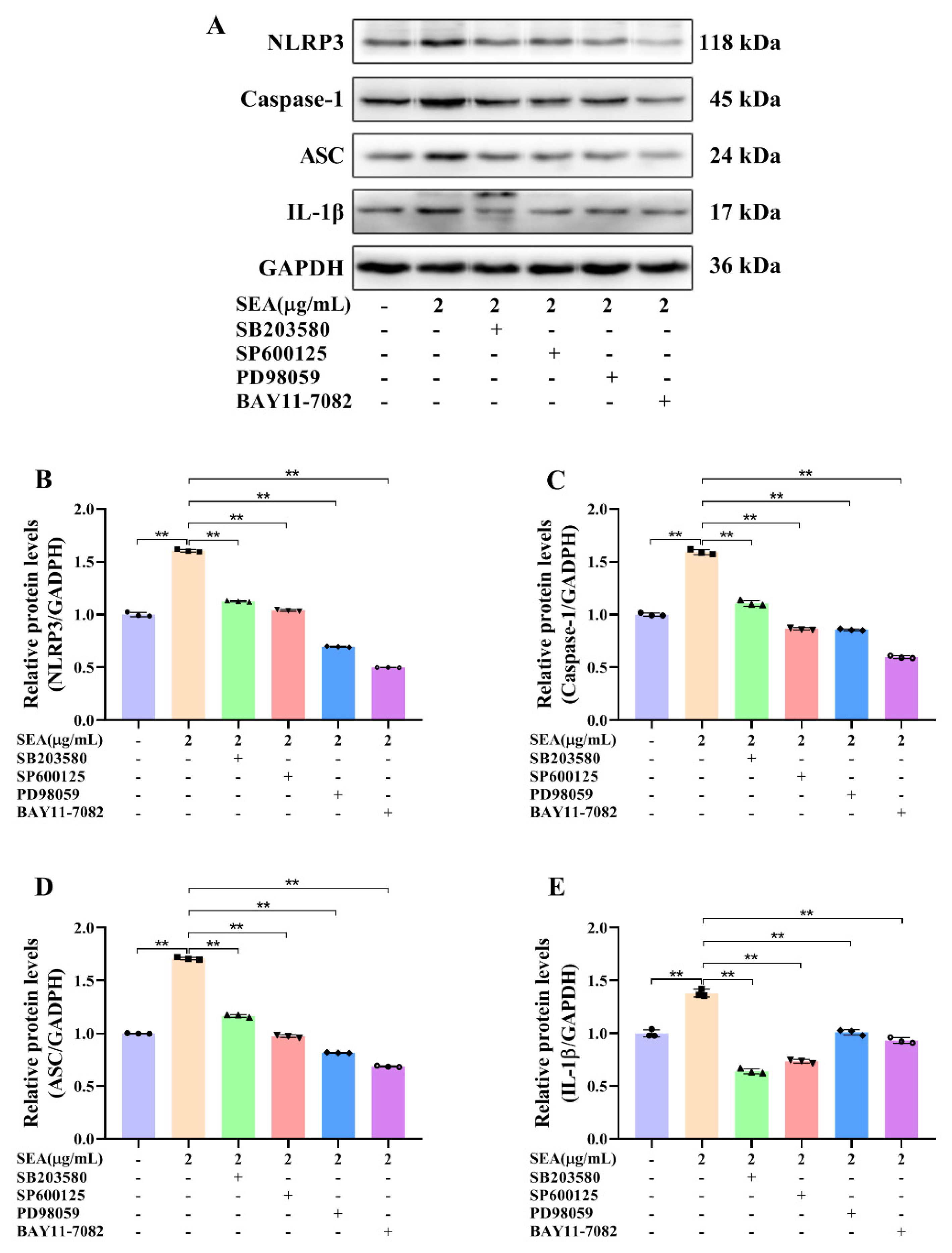 Toxins 14 00029 g010